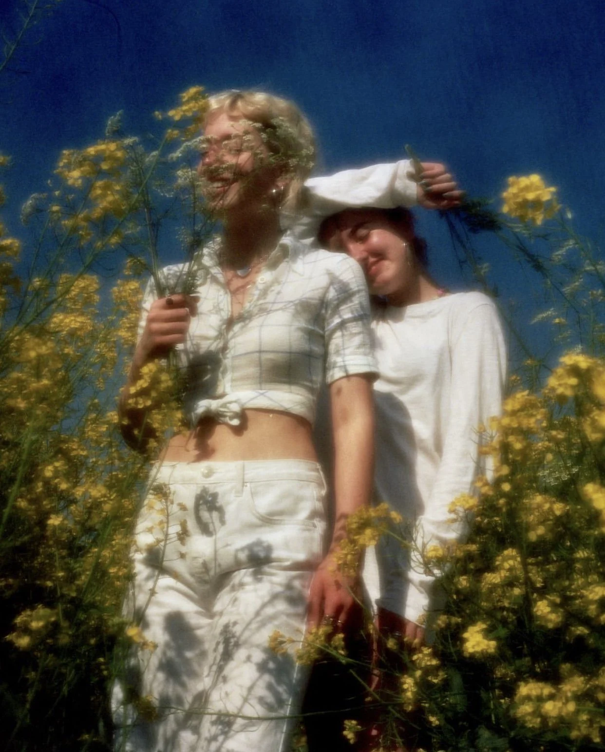 Lowres.jpg