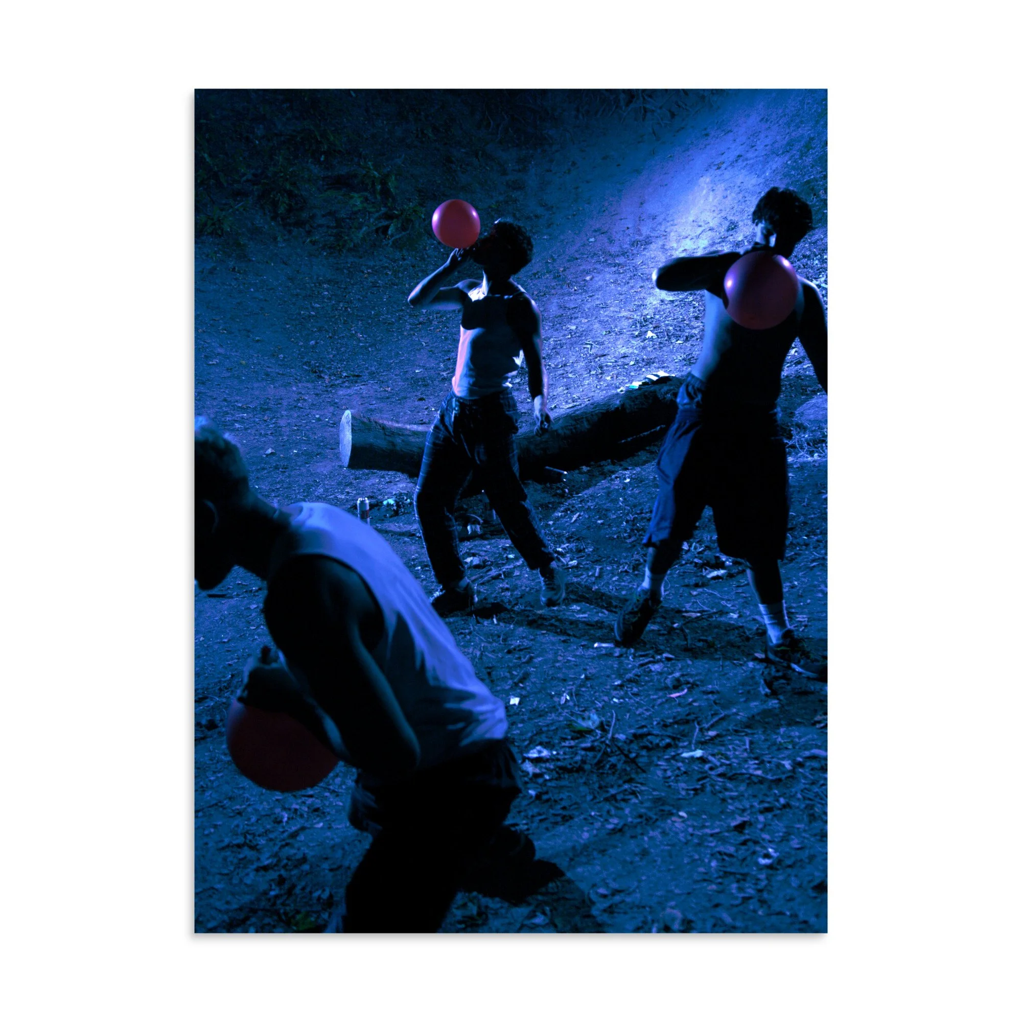 enhanced-matte-paper-poster-(in)-24x32-front-6a8704abe60a6.jpg