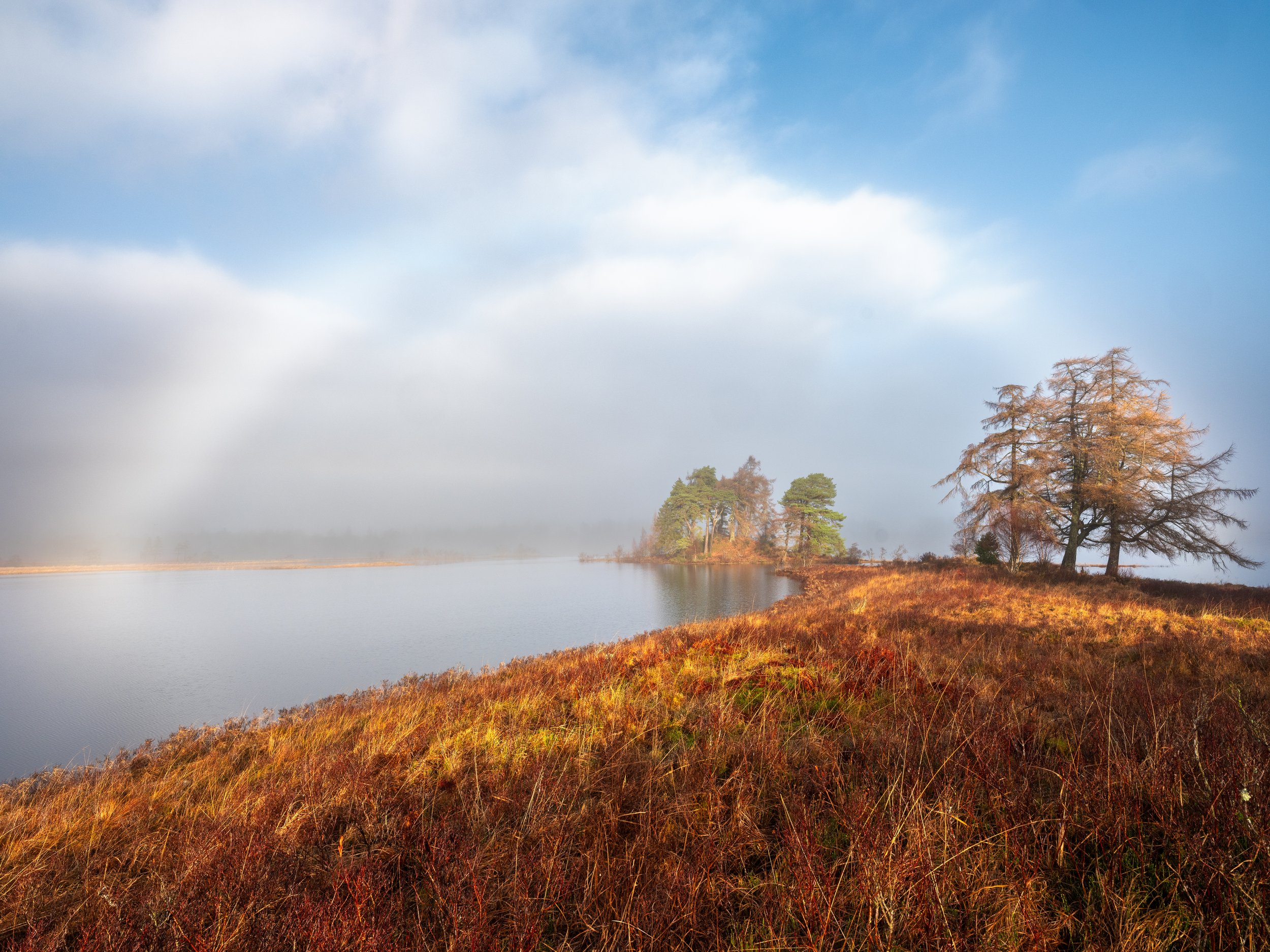_DSF8093-Edit-Edit-Edit.jpg