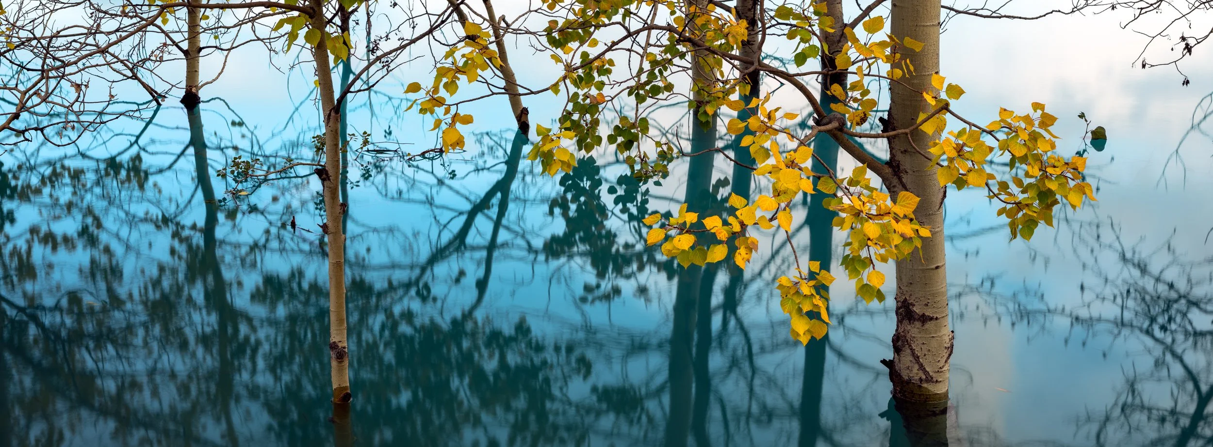 _DSF0354-Edit-2.jpg
