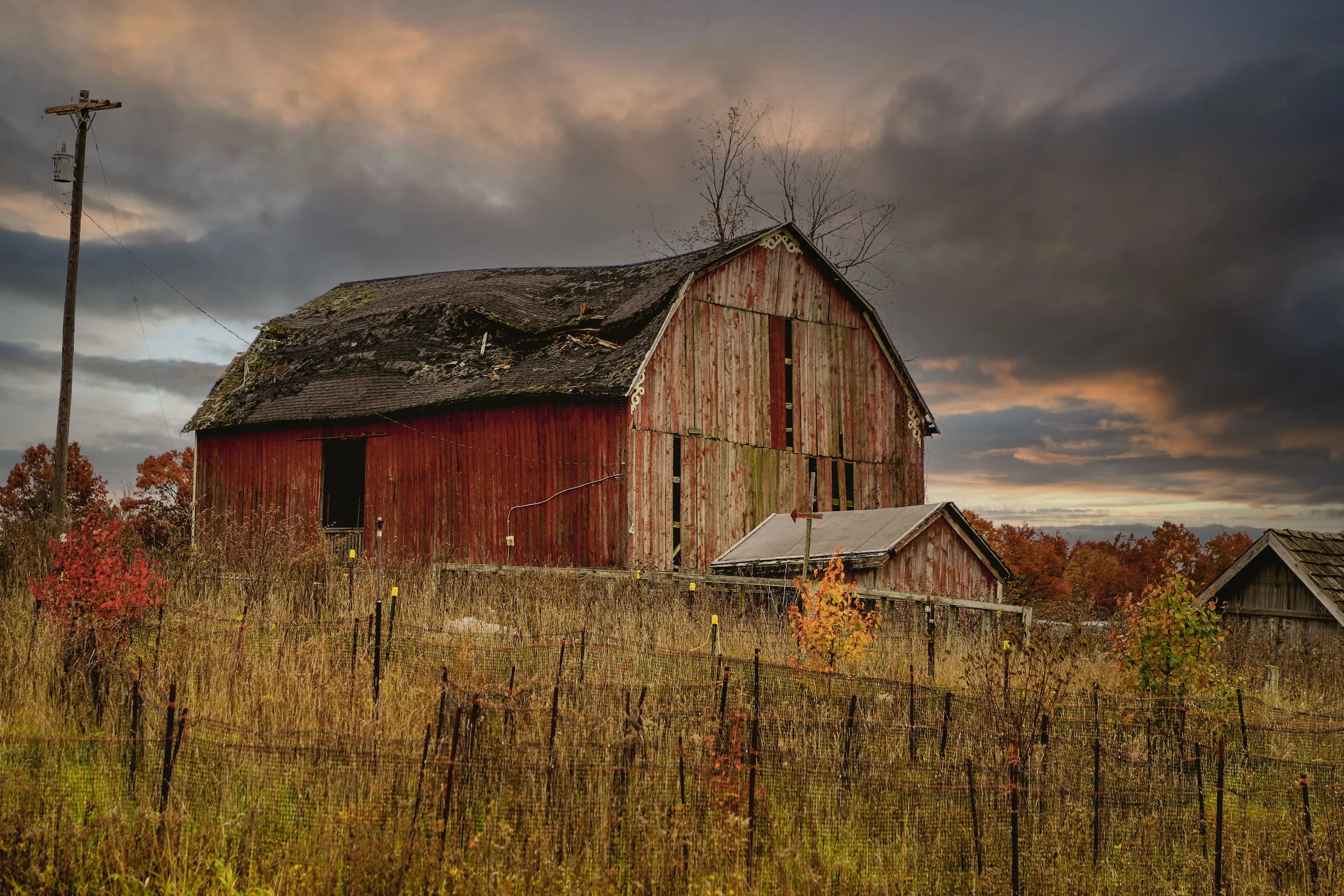 FOR PRINT-03 copy.jpg