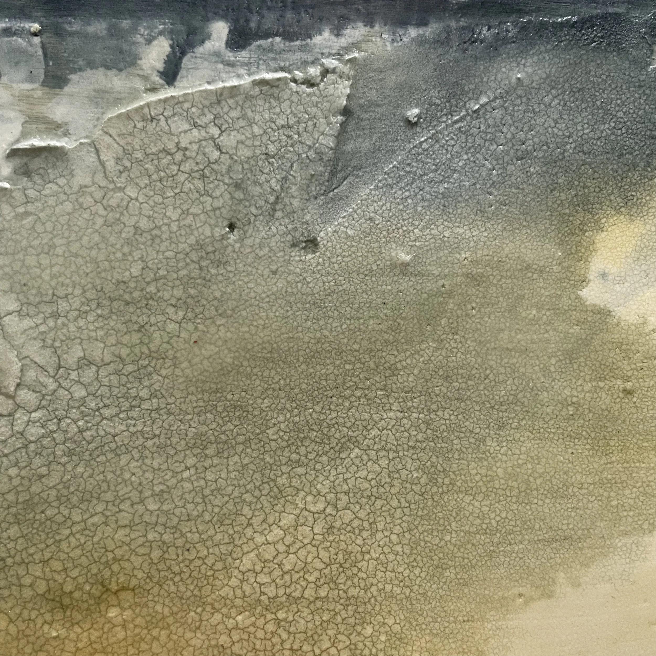 IMG_1949 copy.jpg