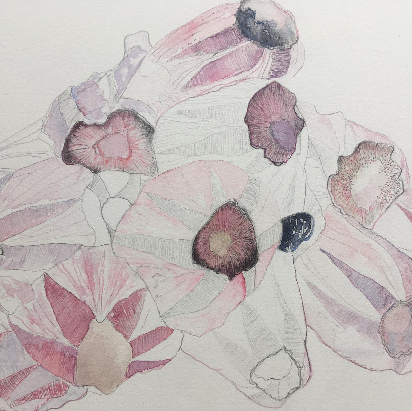 August 2020 

Pencil and watercolour, inspired by the sea and spending time making observations of barnacles on the rocks.