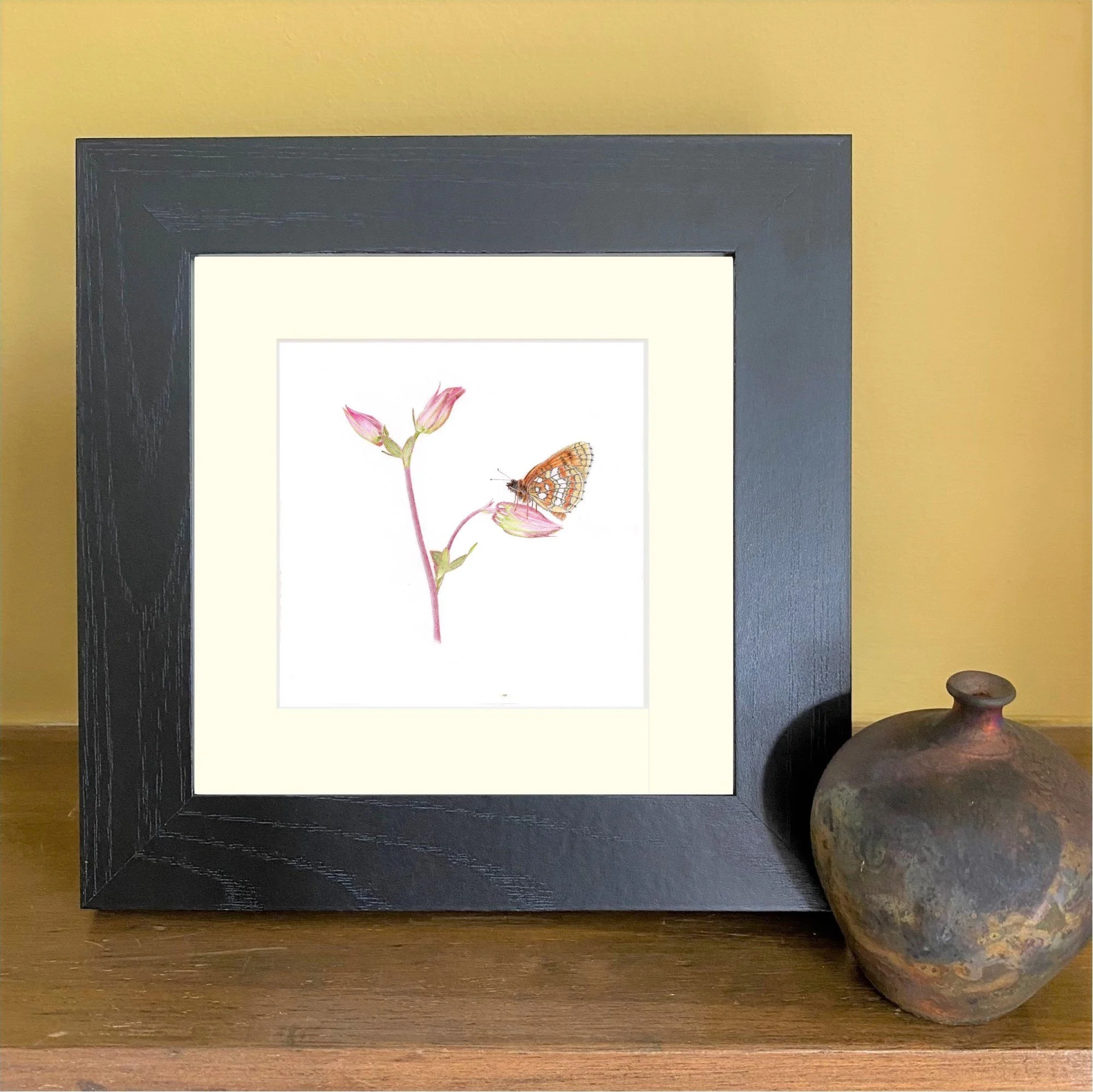 Aquilegia and Heath Fritillary Butterfly Fine Art Print