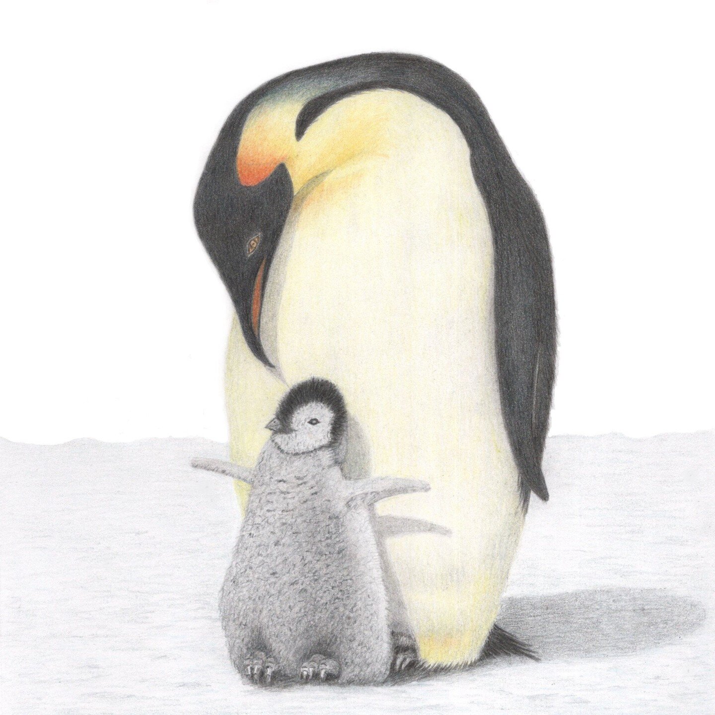 I was inspired to draw this after reading about the dangers penguins are facing due to climate change and over fishing.

Did you know you can adopt a penguin and support the work being done by The World Wildlife Fund to help penguins?
https://support