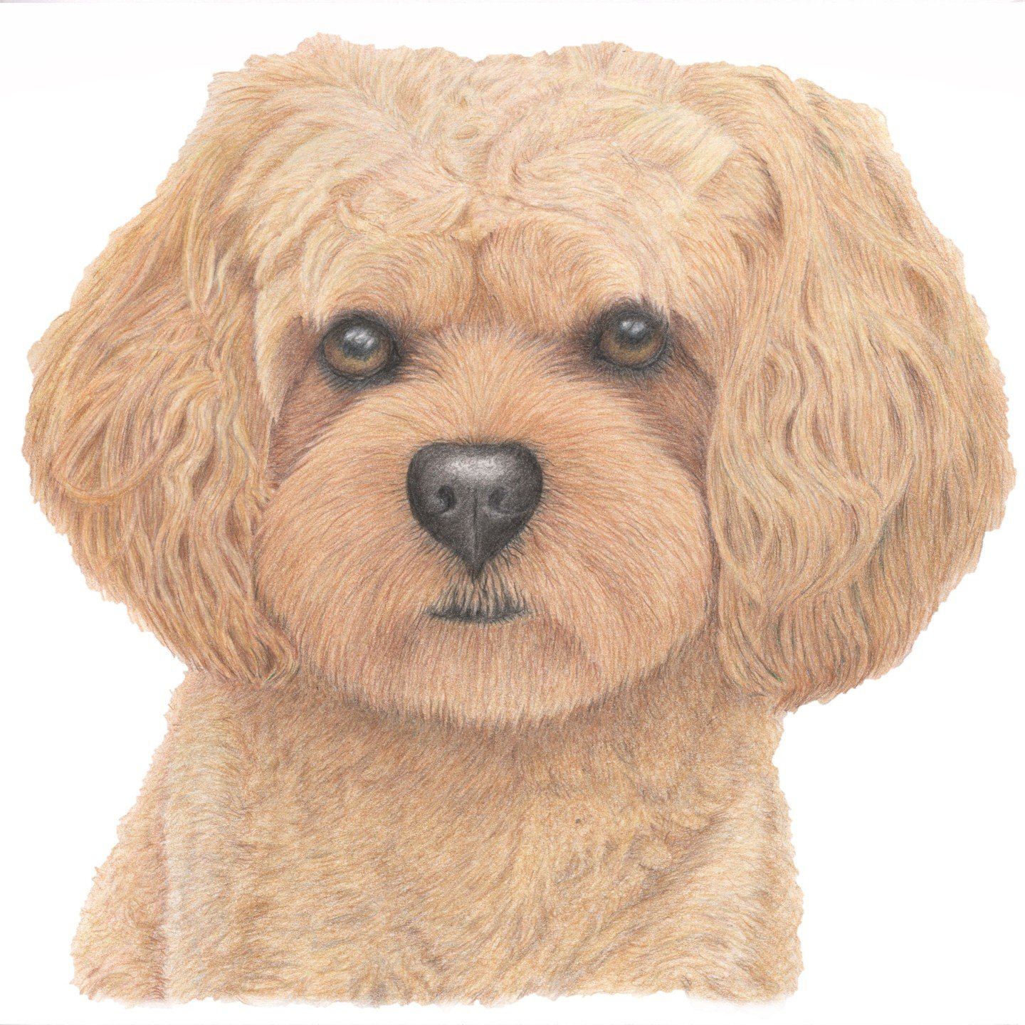 Hi everyone, I've been really quiet on IG recently but I've actually been really busy on commissions and other drawings and intense preparation now for many Christmas fairs.
I'll post more things over the next few days to show you what I've been work