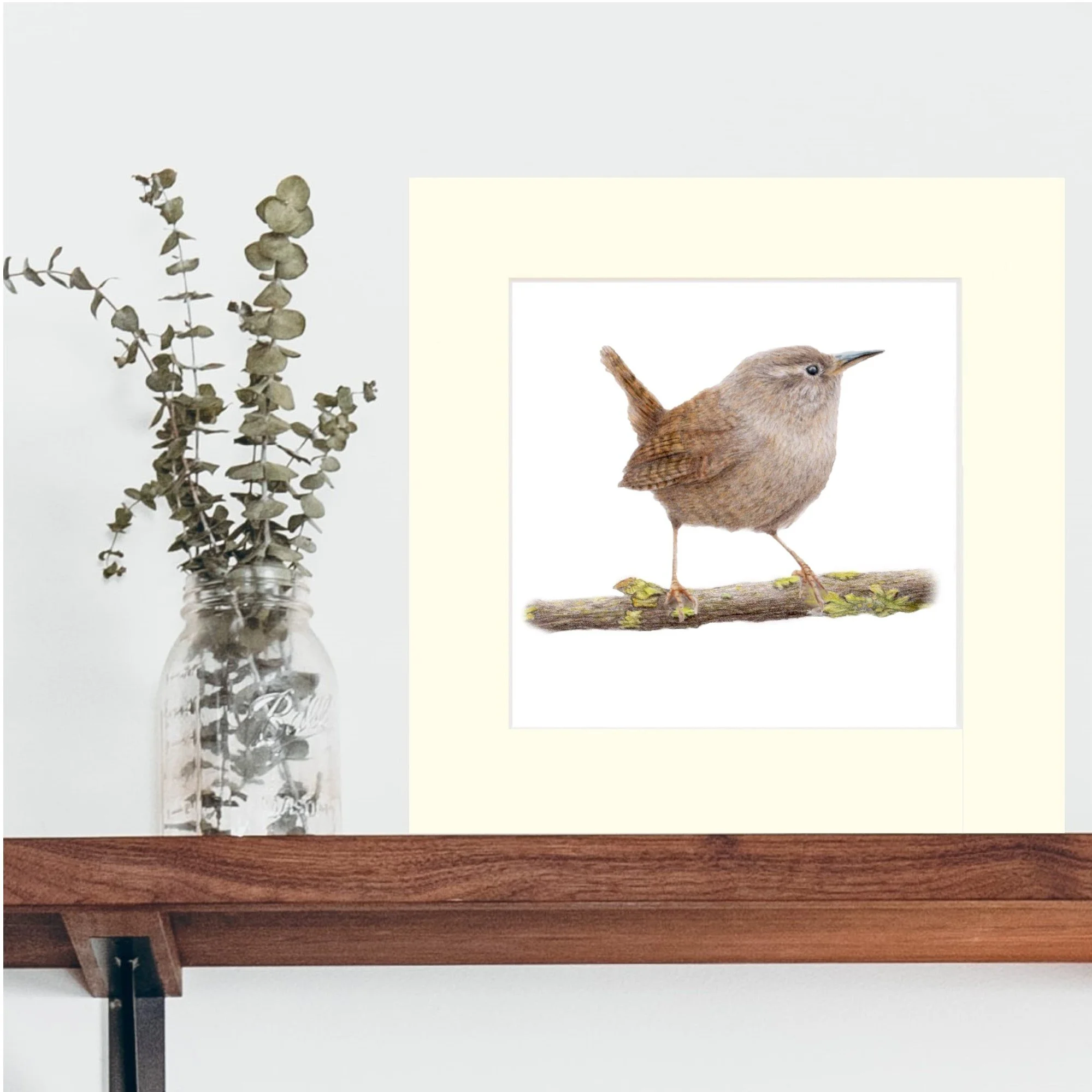 wren mounted on shelf.jpg
