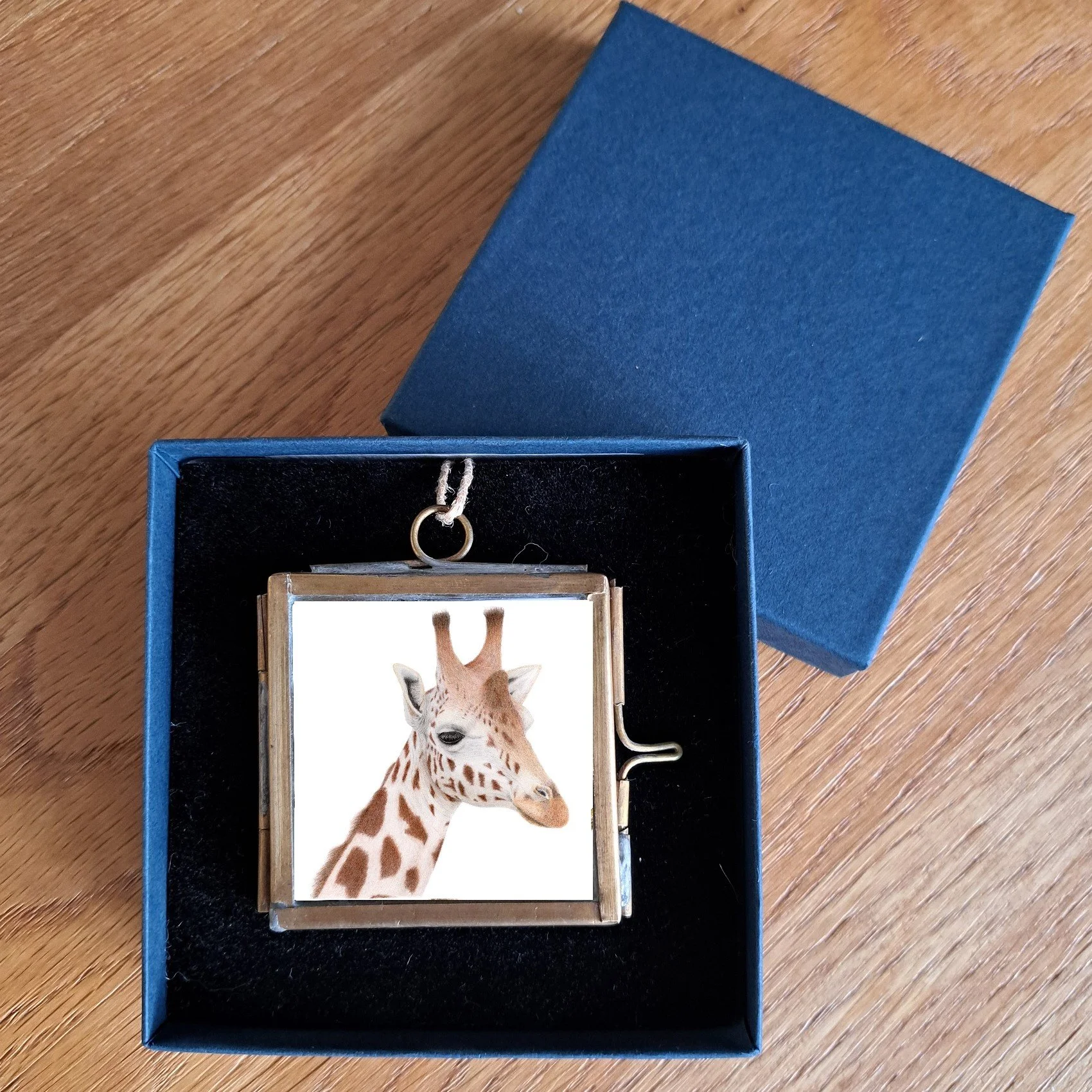 Brass Box Giraffe.jpg