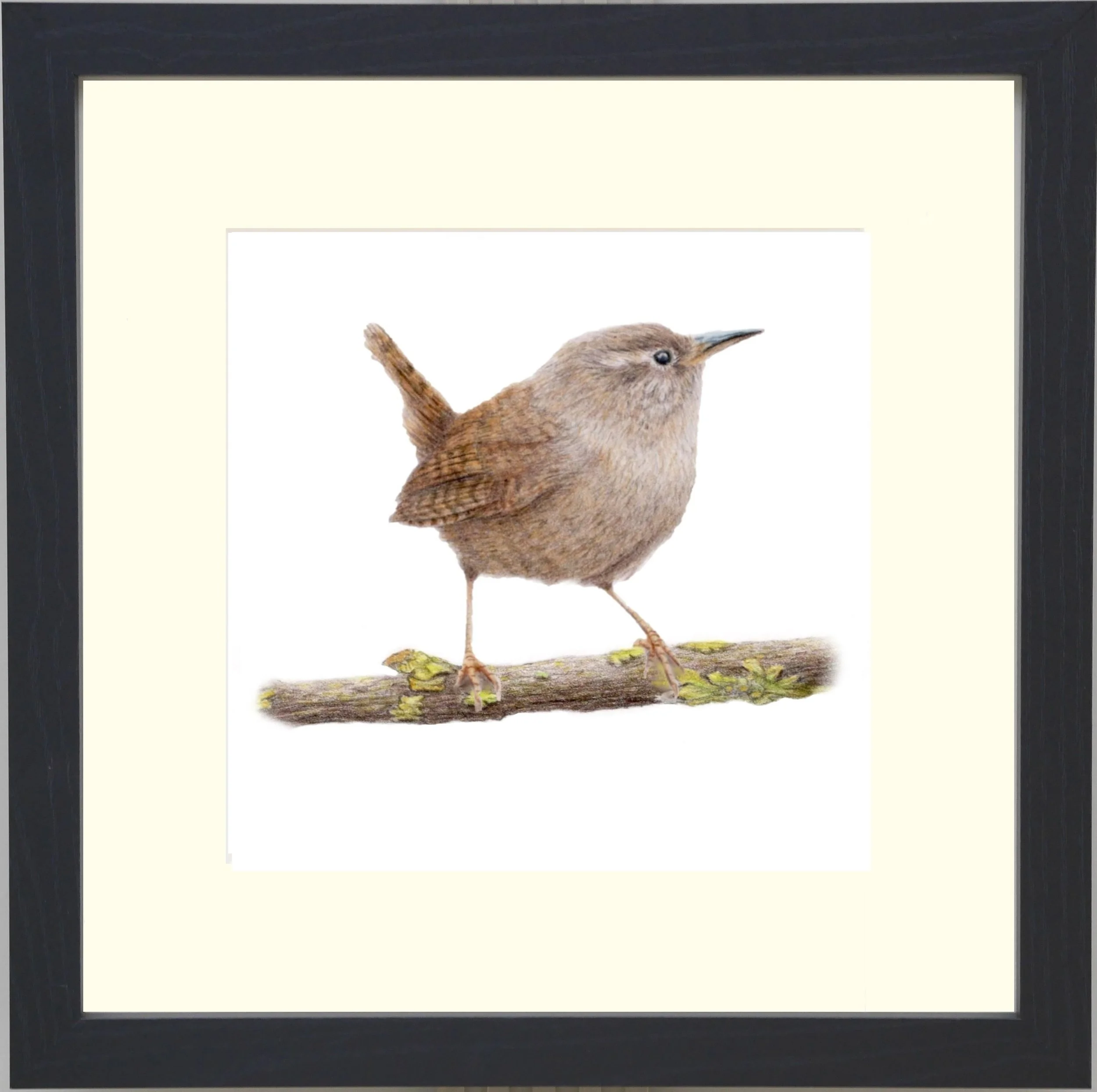 Wren Framed.jpg