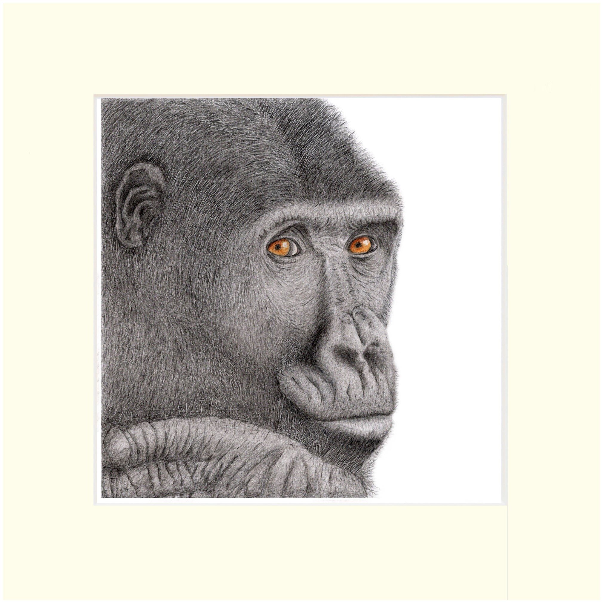 Gorilla Mounted.jpg