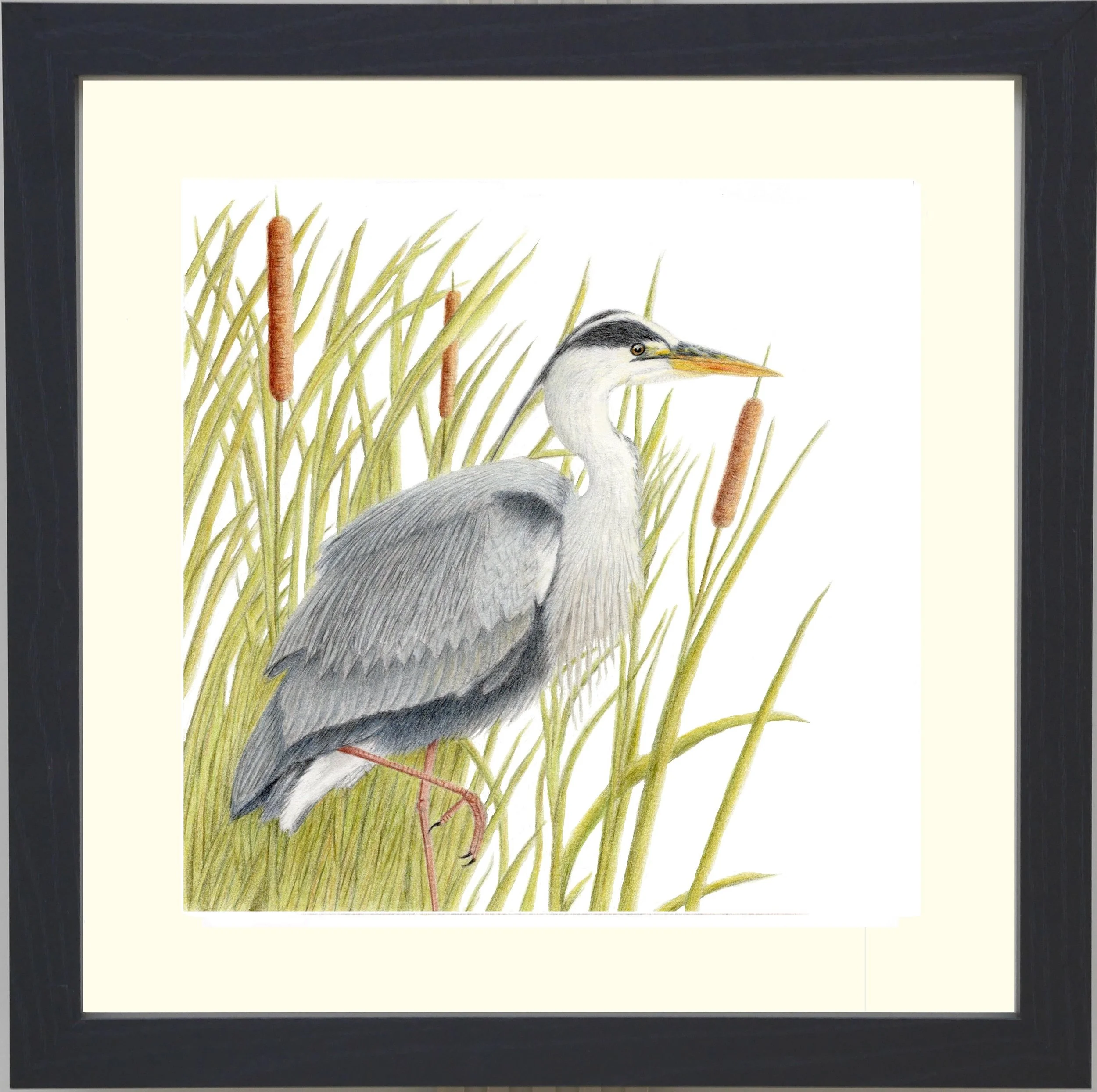 Heron Framed.jpg