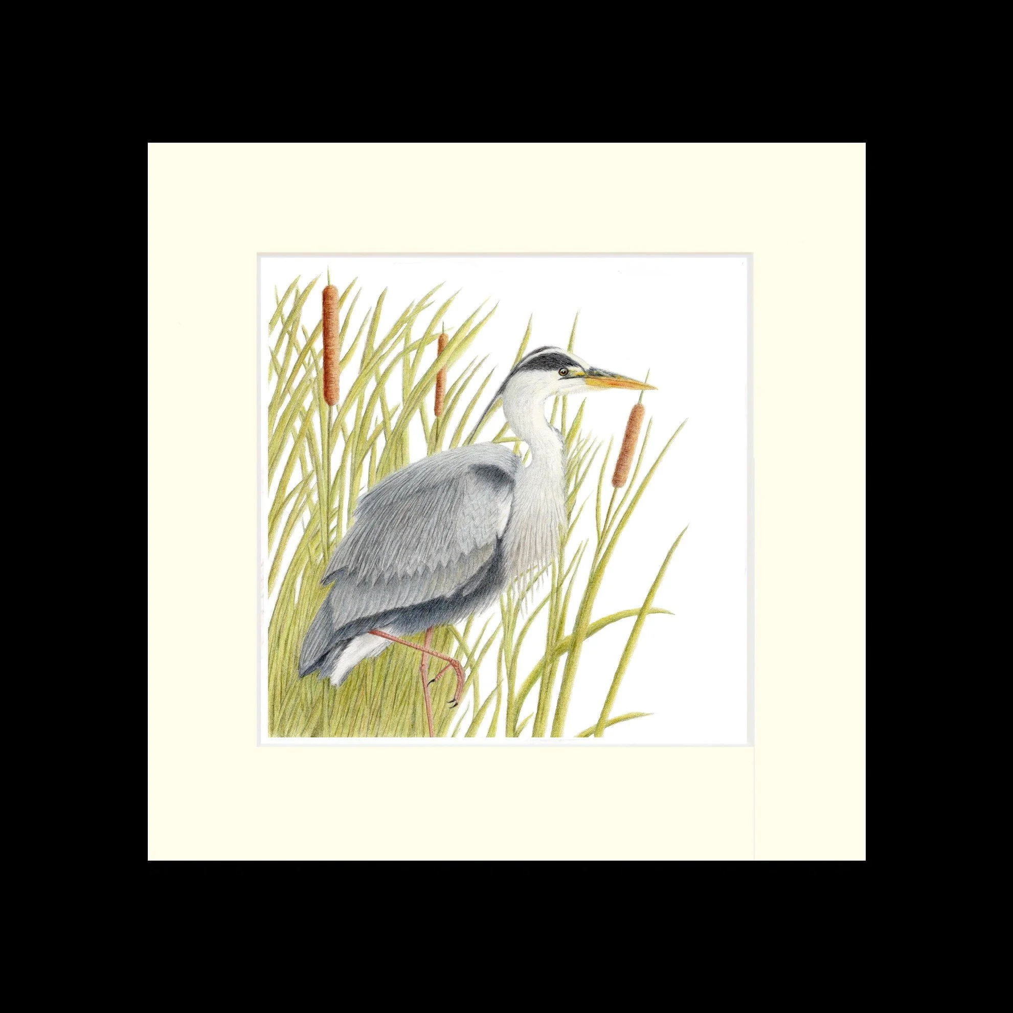 heron black frame.jpg
