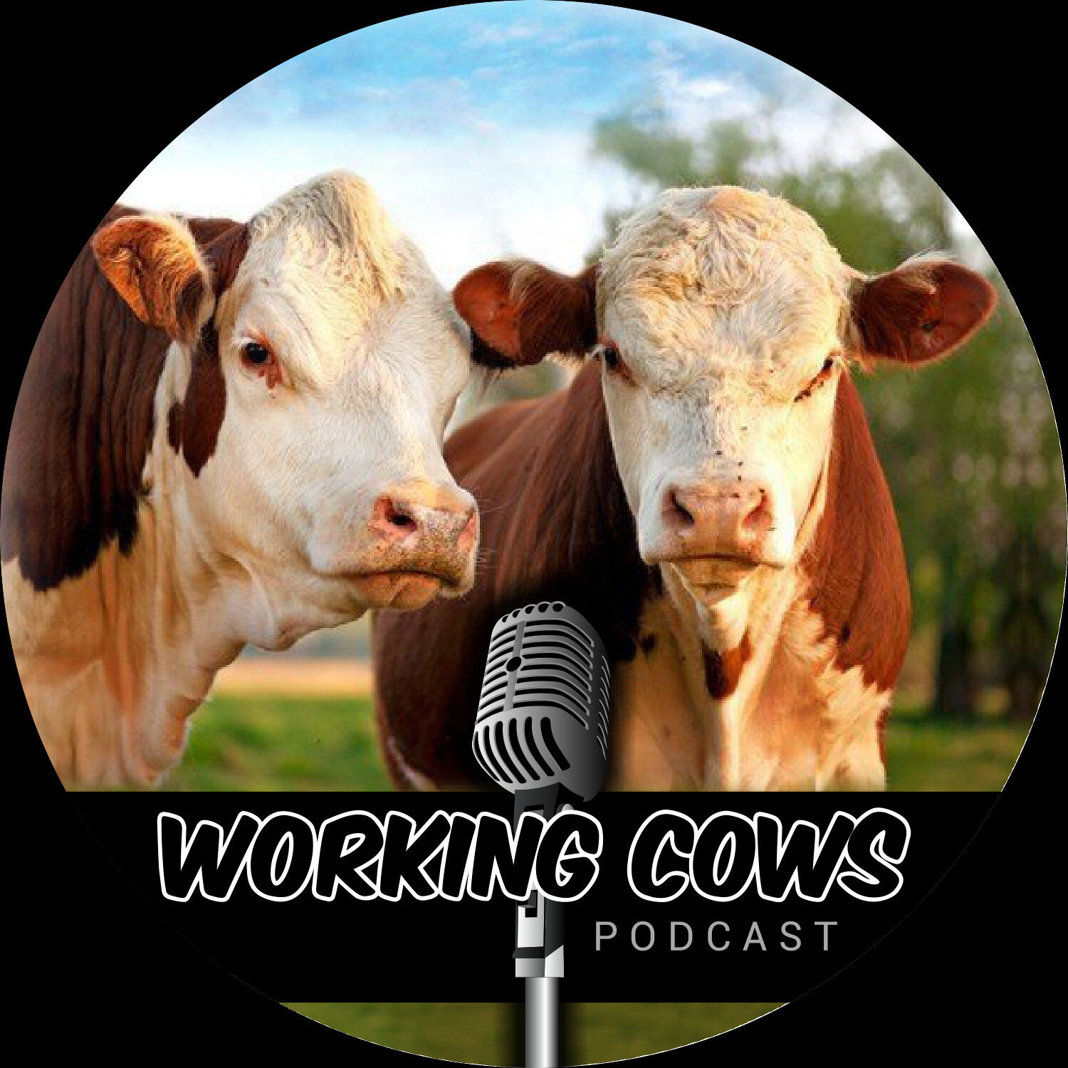 Working-Cows-Podcast-Logo-Square-Black.jpg