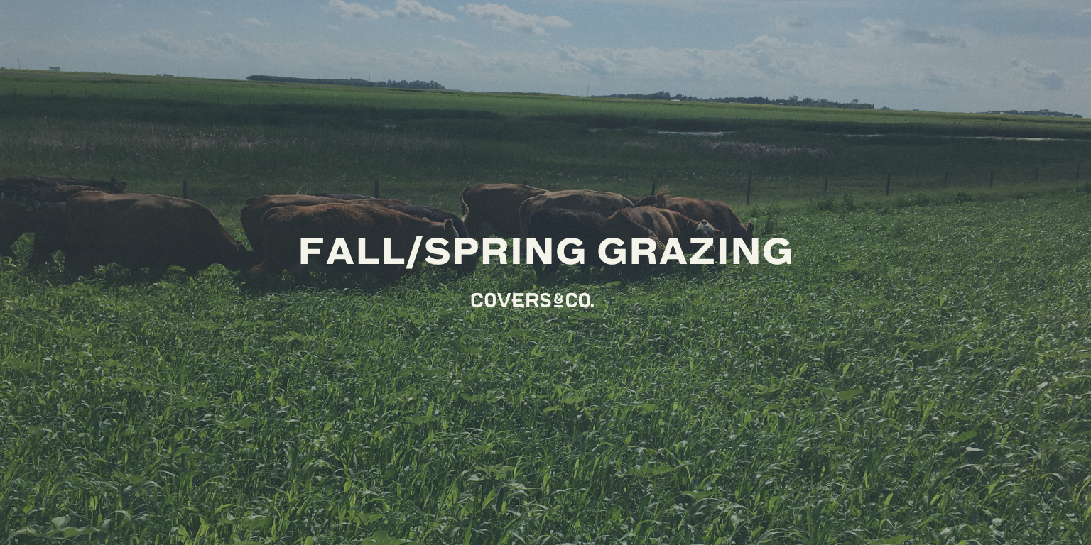 Fall/Spring Grazing