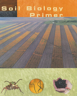 Soil Biology Primer