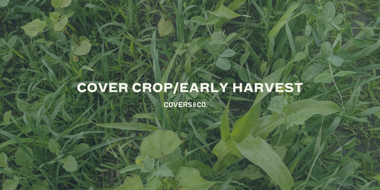 Cover Crop/Early Harvest