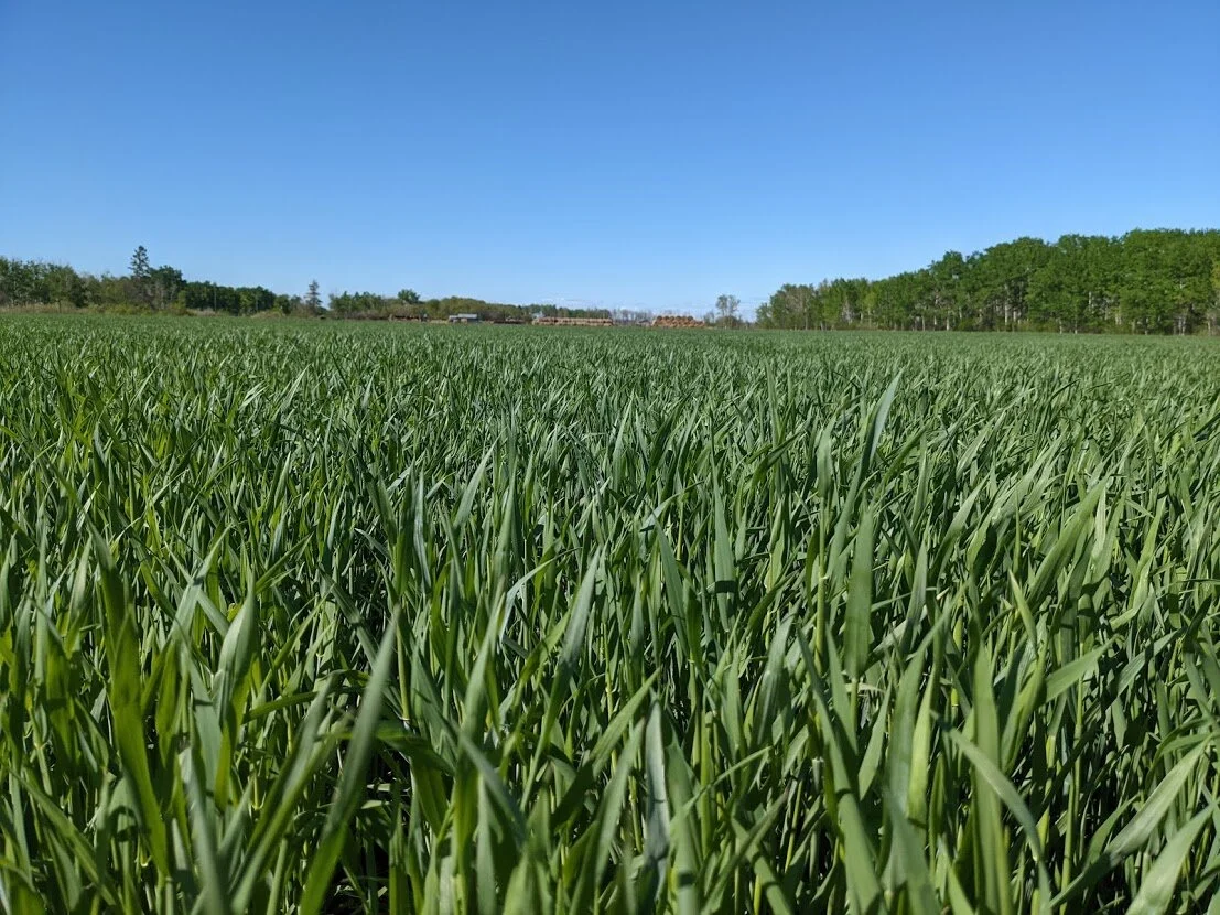 PXL_20210526_220134836.jpg