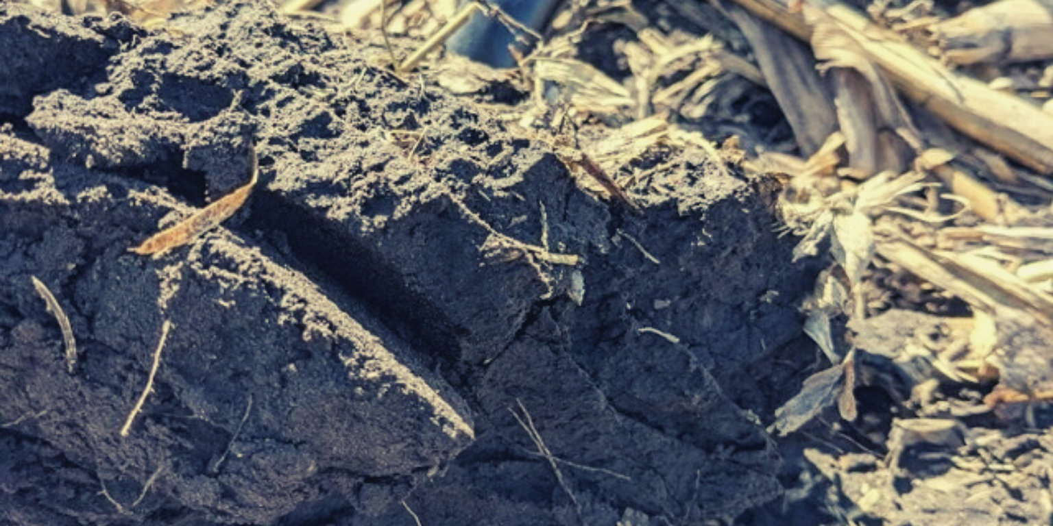 Soil Compaction Trial