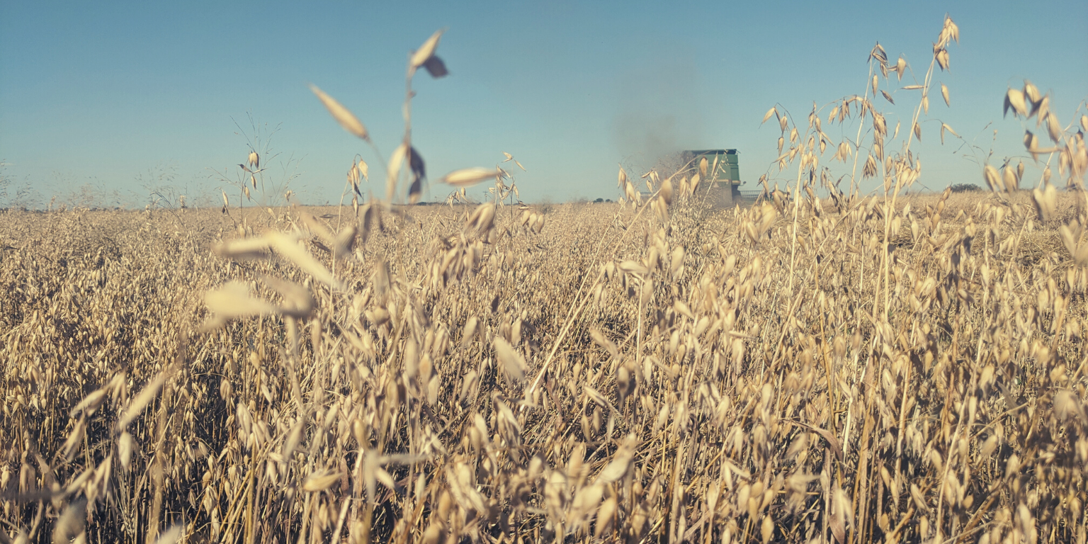 No Synthetic Fertilizer Trial
