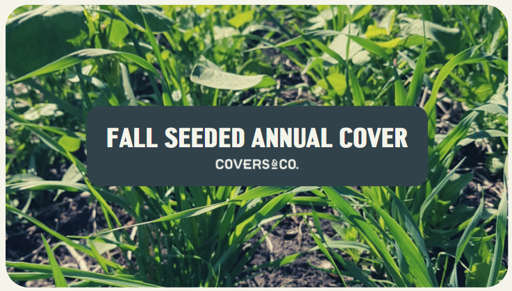 Fall Annual Cover