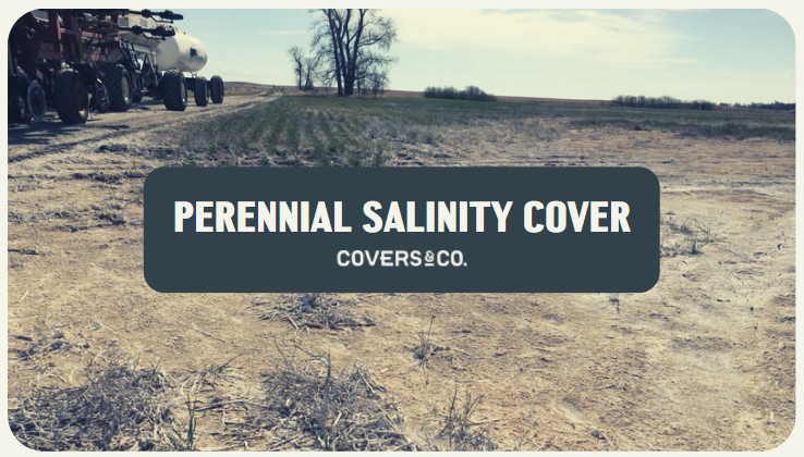 Salinity Cover