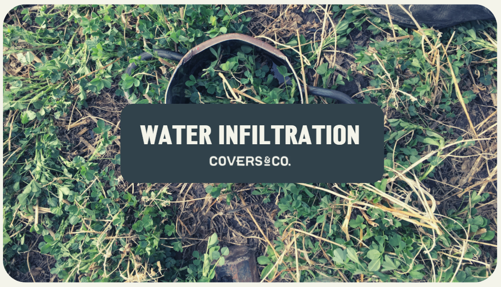 Water Infiltration