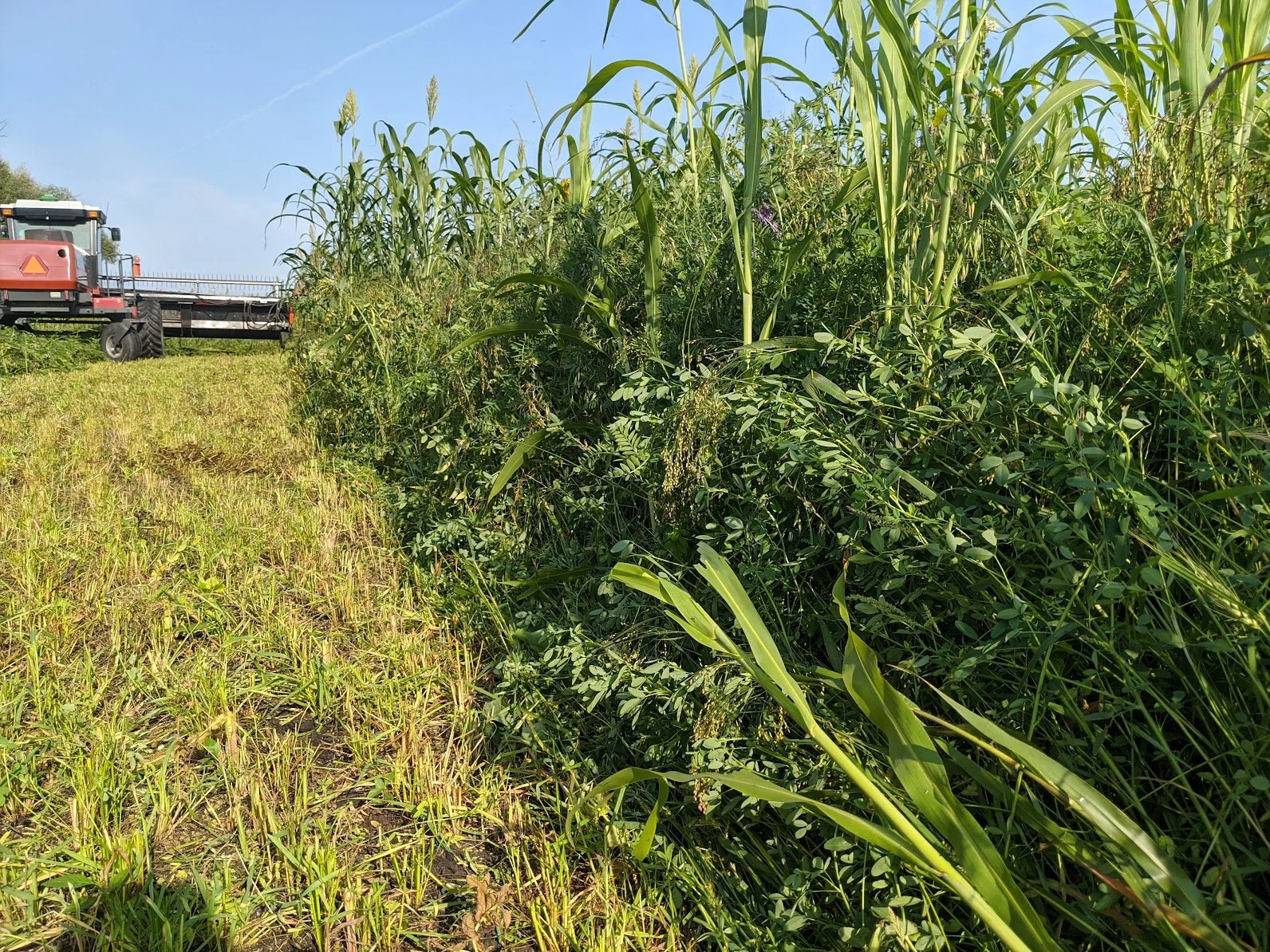 Full Season Cover: Silage Tips