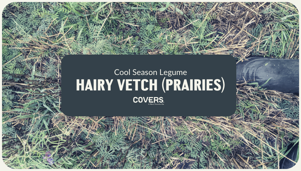 Hairy Vetch Prairies (CSL)