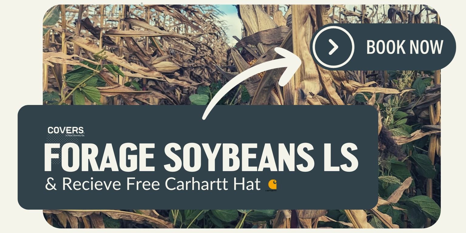 Forage Soybeans LS