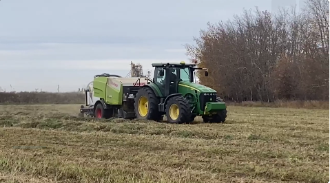 How can our feed reduce our costs? 