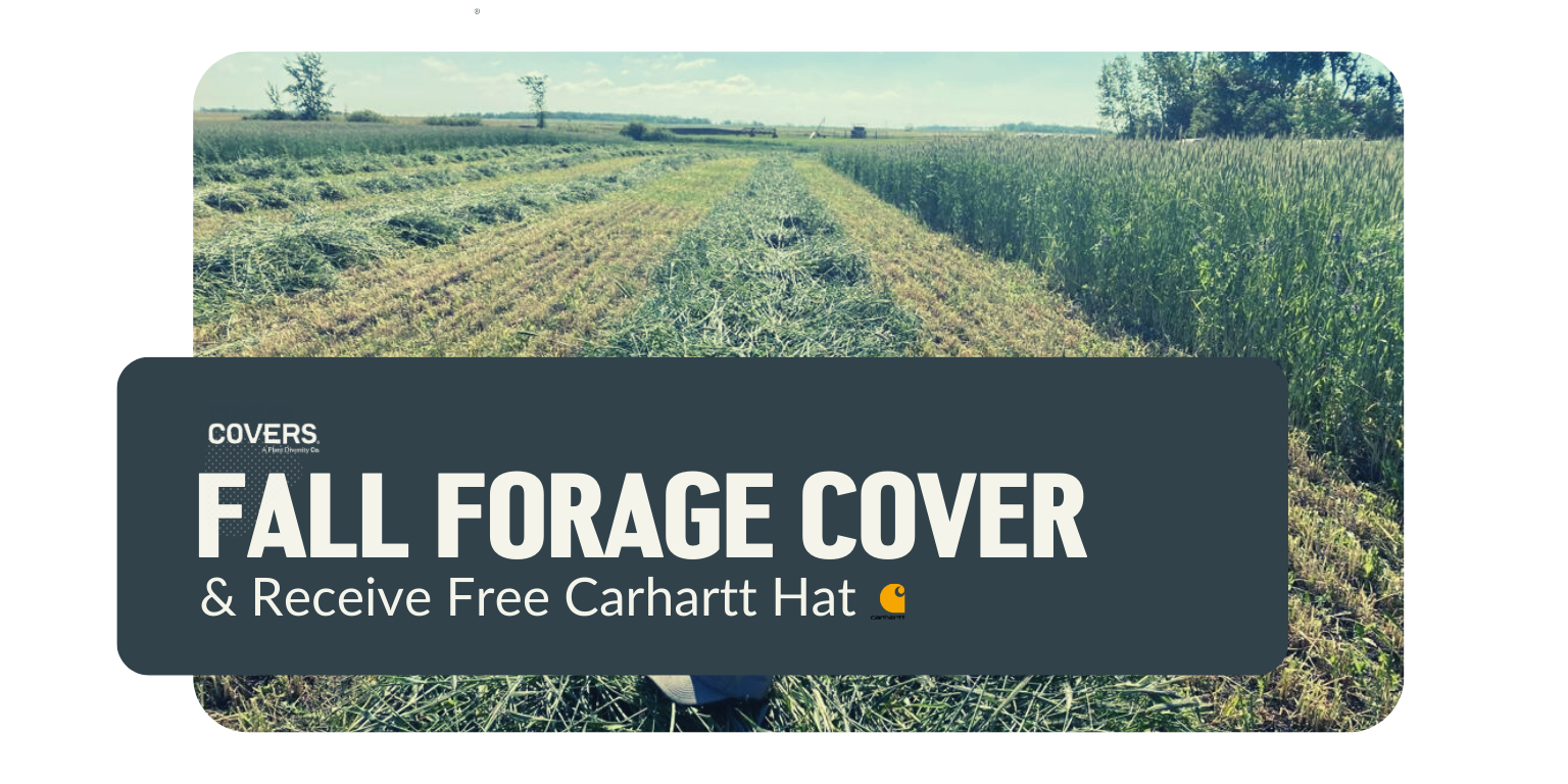 Fall Forage Cover