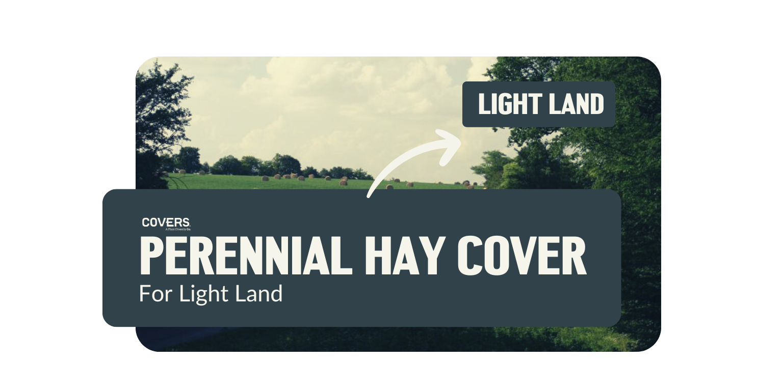 Perennial Hay (Light Land)