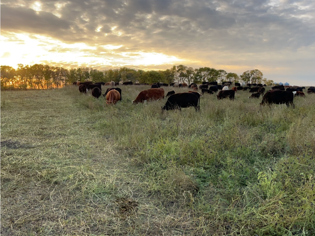 The Soil Health Principles