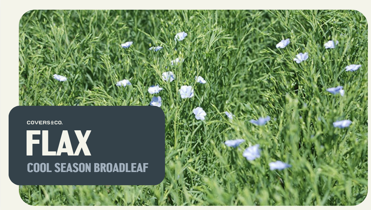 Flax (0.5%)