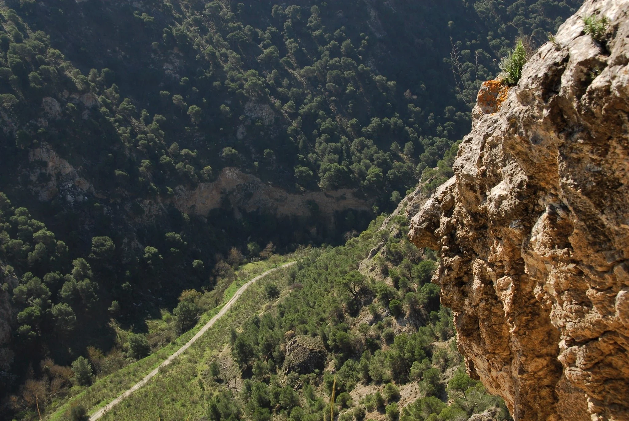 Hoz de Arroyo Marín