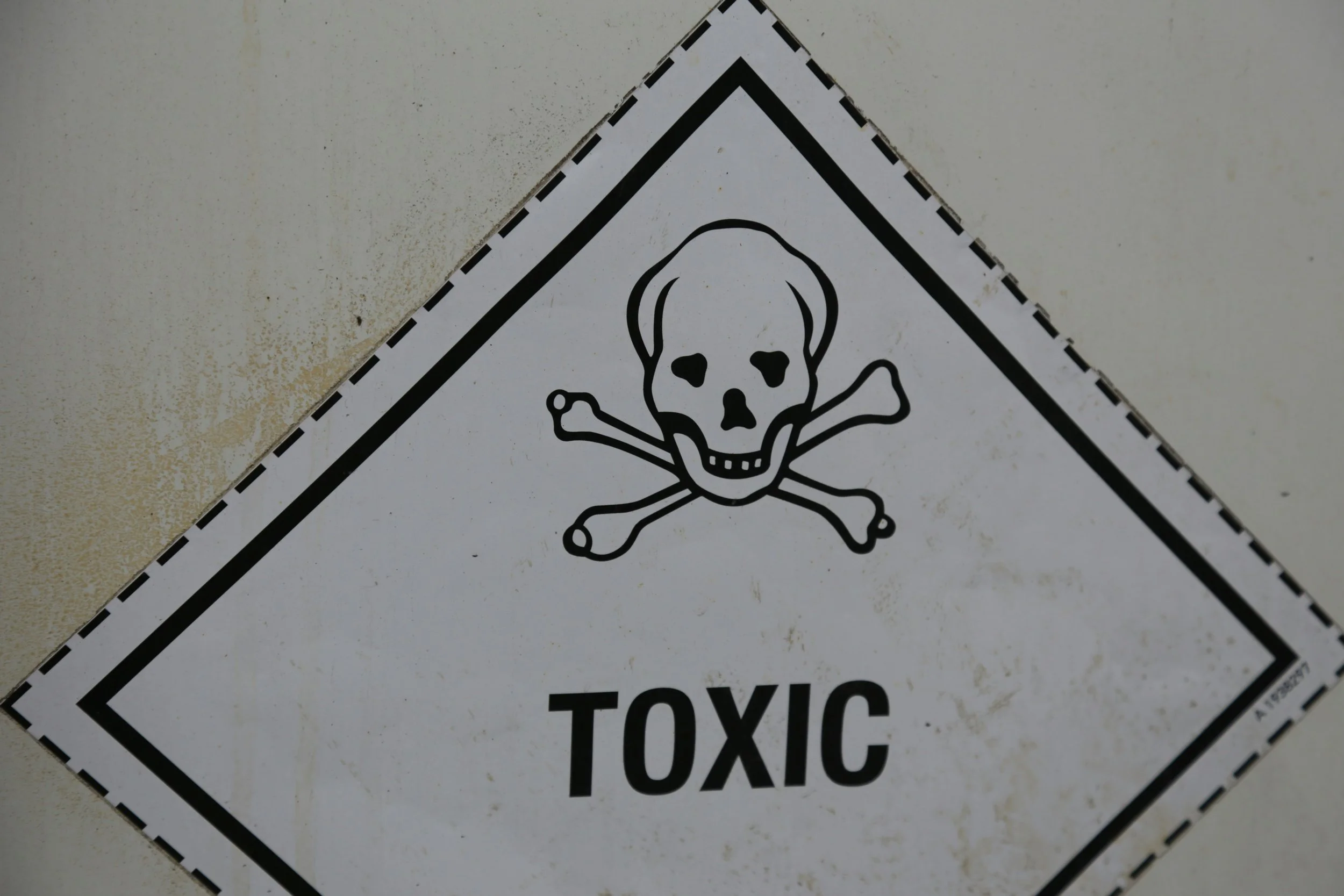 Toxic Work Environments: When to Stay, When to Leave, When to Seek Support