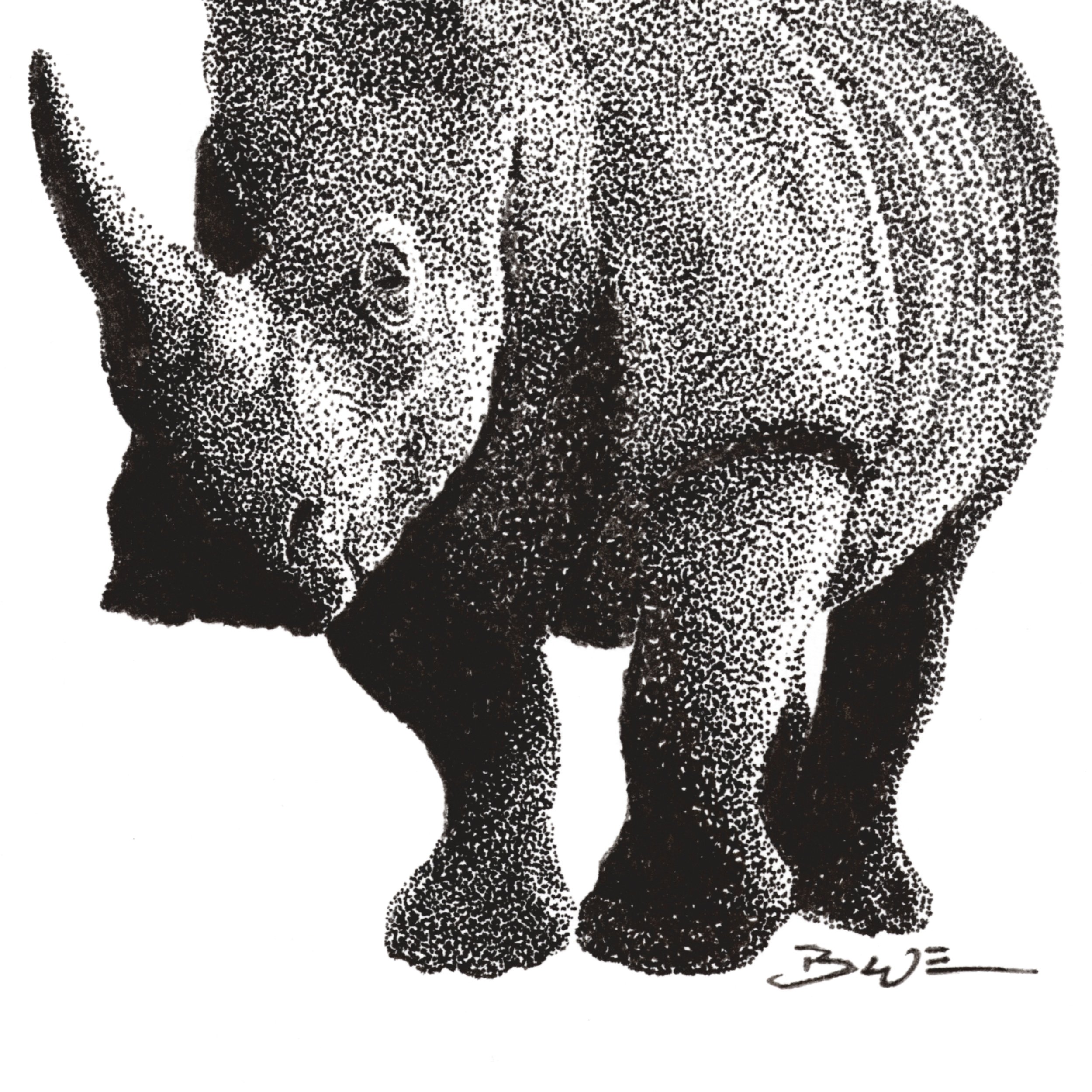 Rhino_Bottom Half.jpg