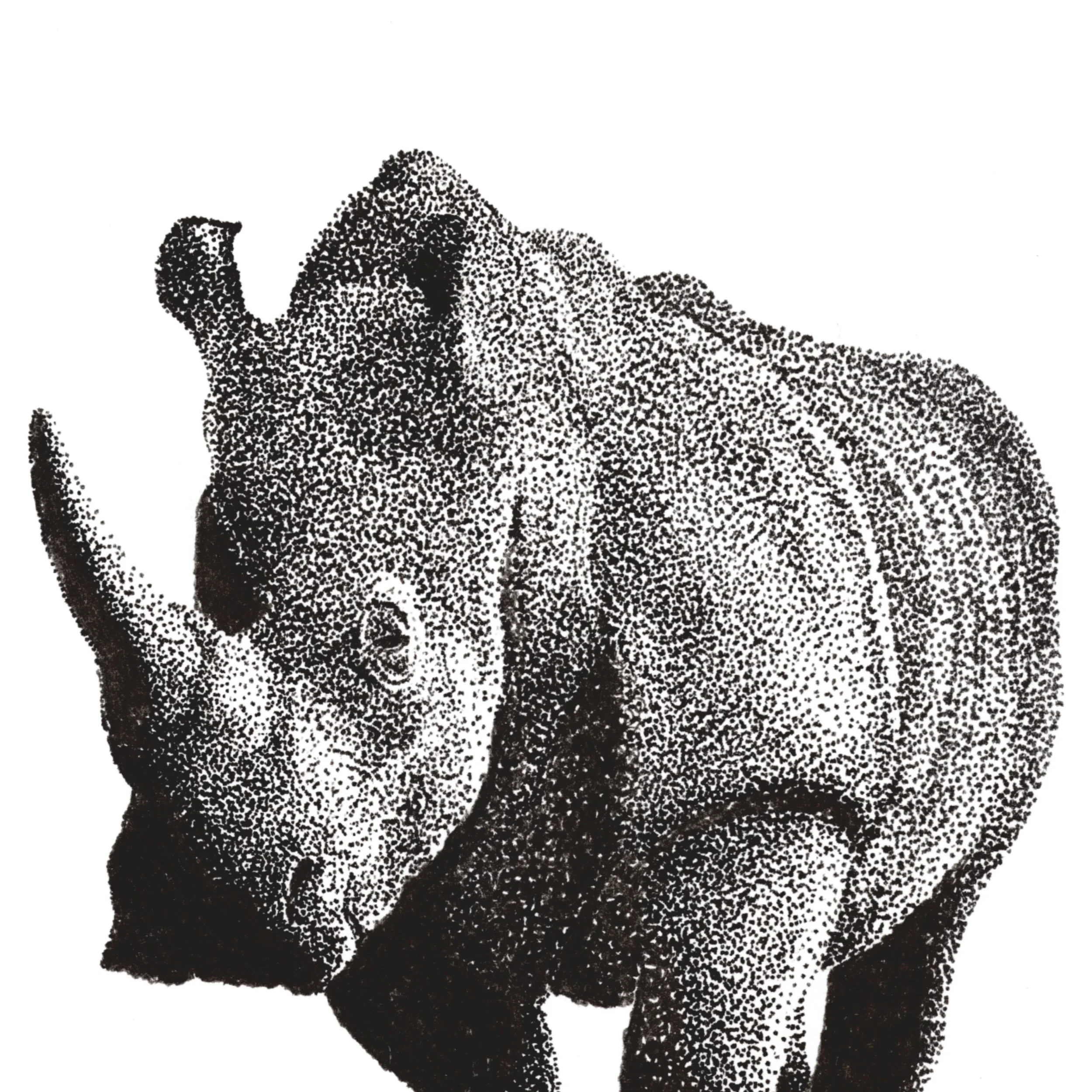 Rhino_Upper Half.jpg