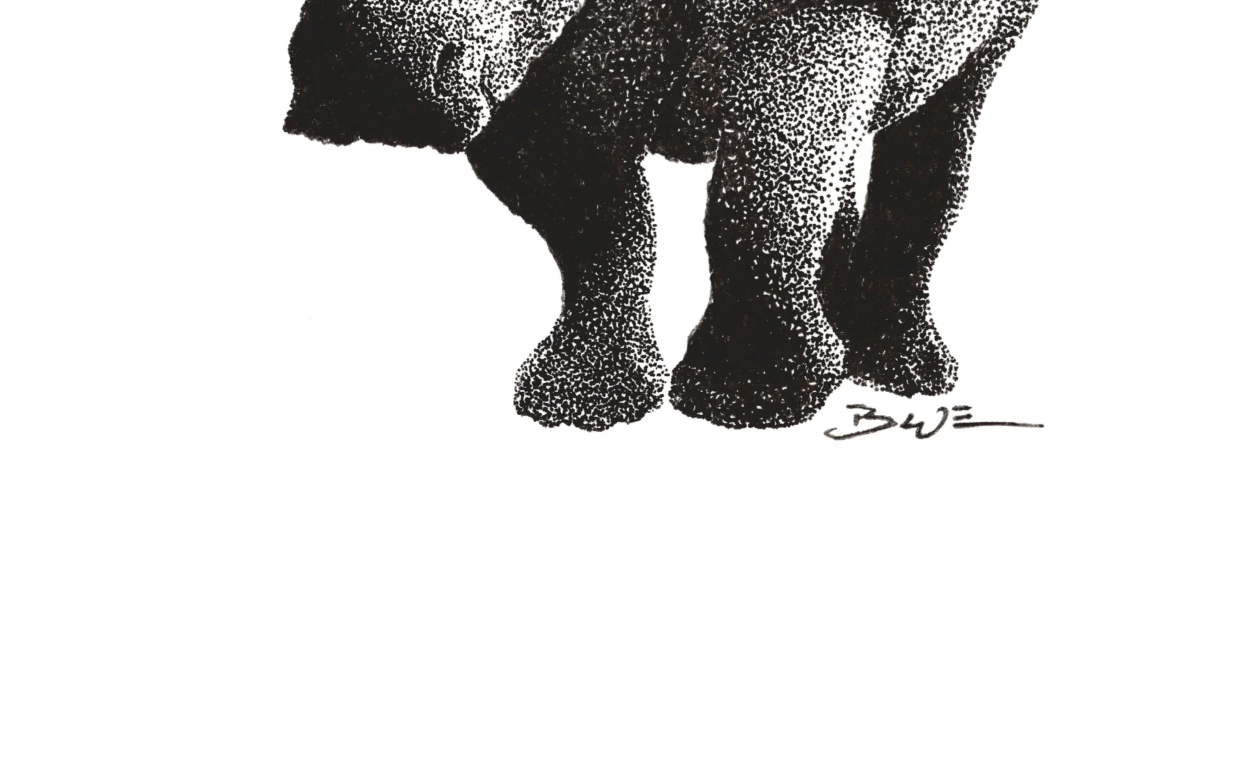 Rhino_Bottom Half.jpg