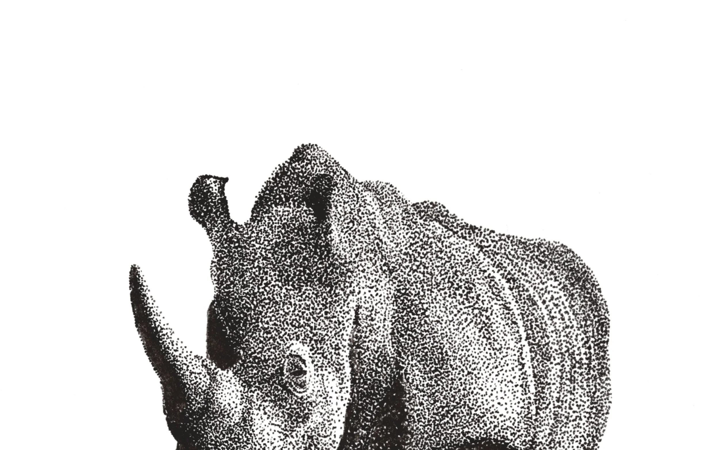 Rhino_Upper Half.jpg