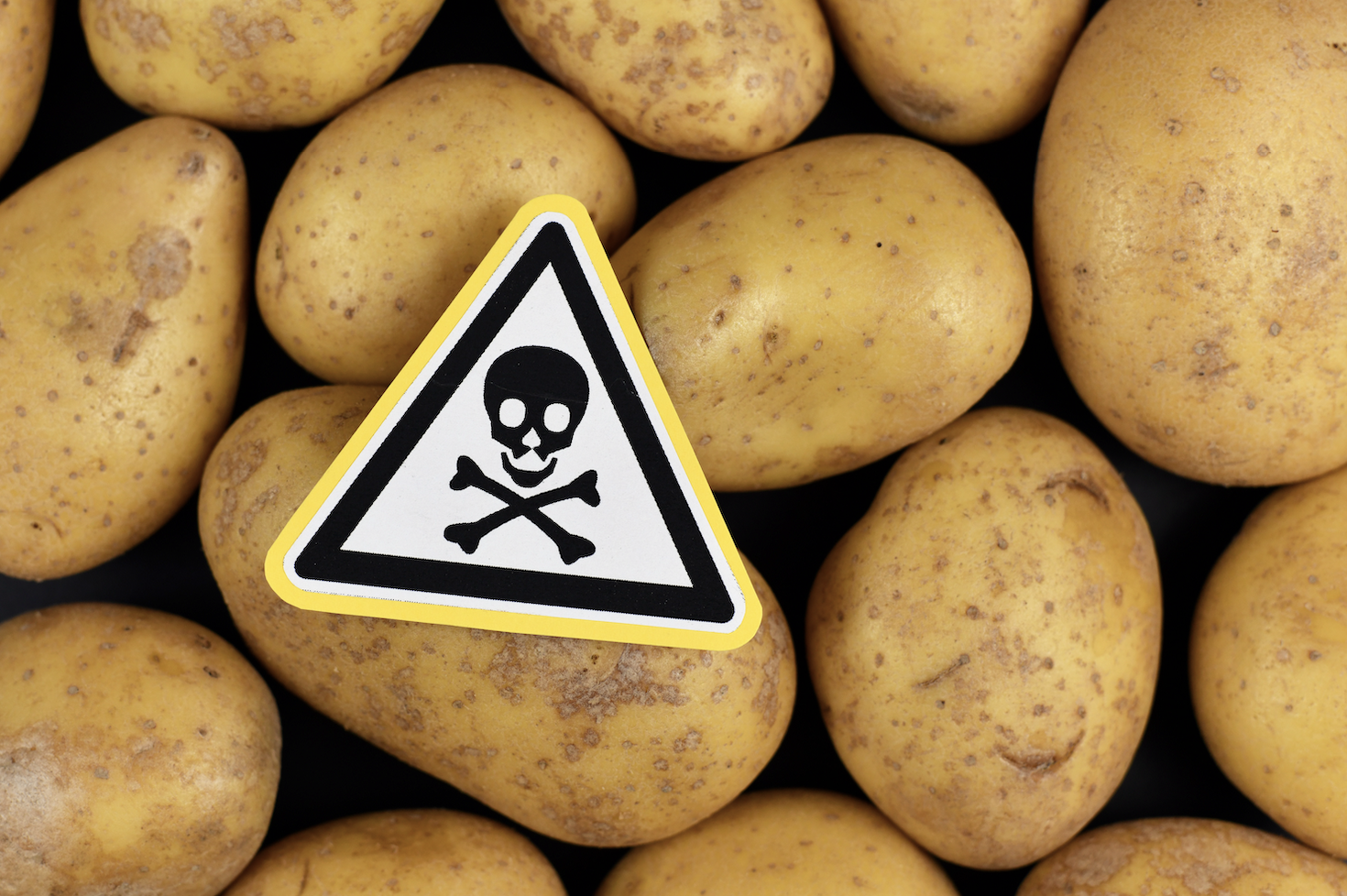 Screenshot 2024-02-23 at 9.55.12 AM.png