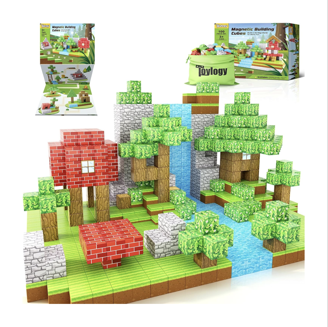 Magnetic Minecraft Blocks