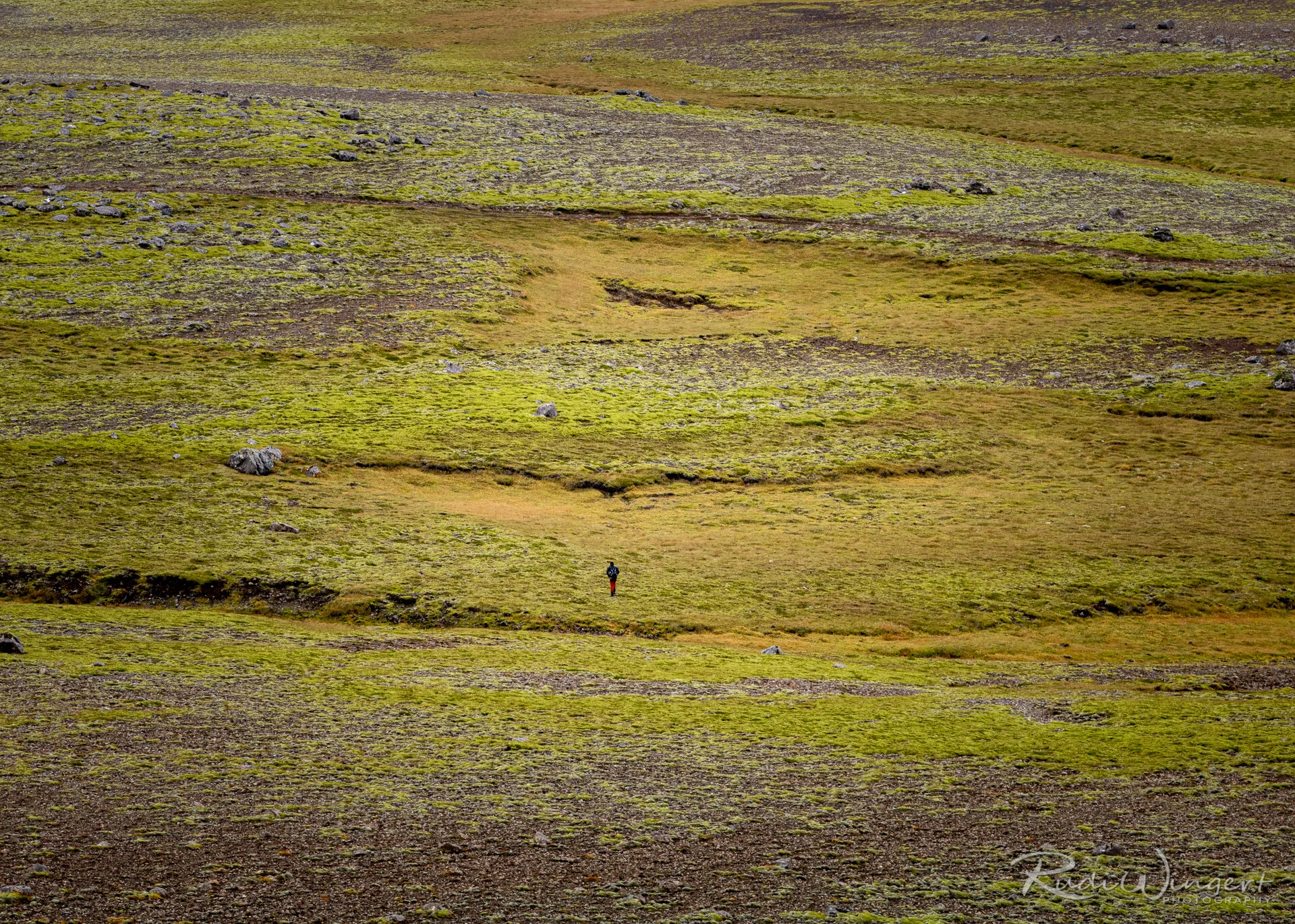 A caminhada solitária do fotografo