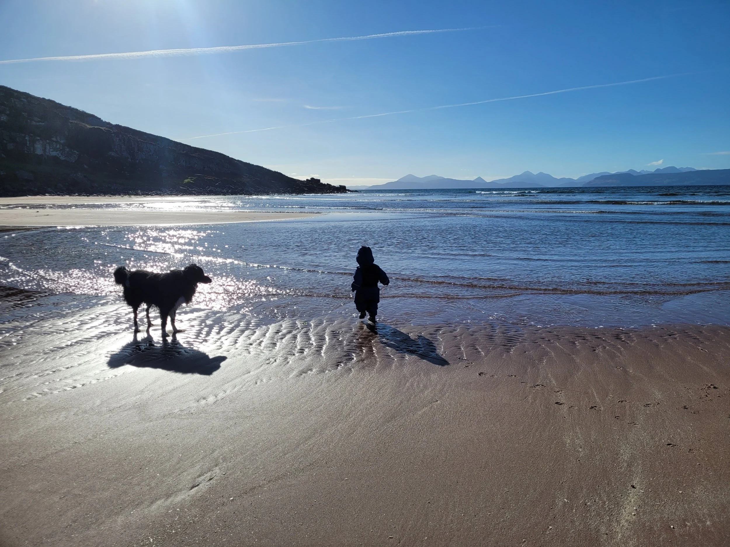 processed_20230226_115745.jpg