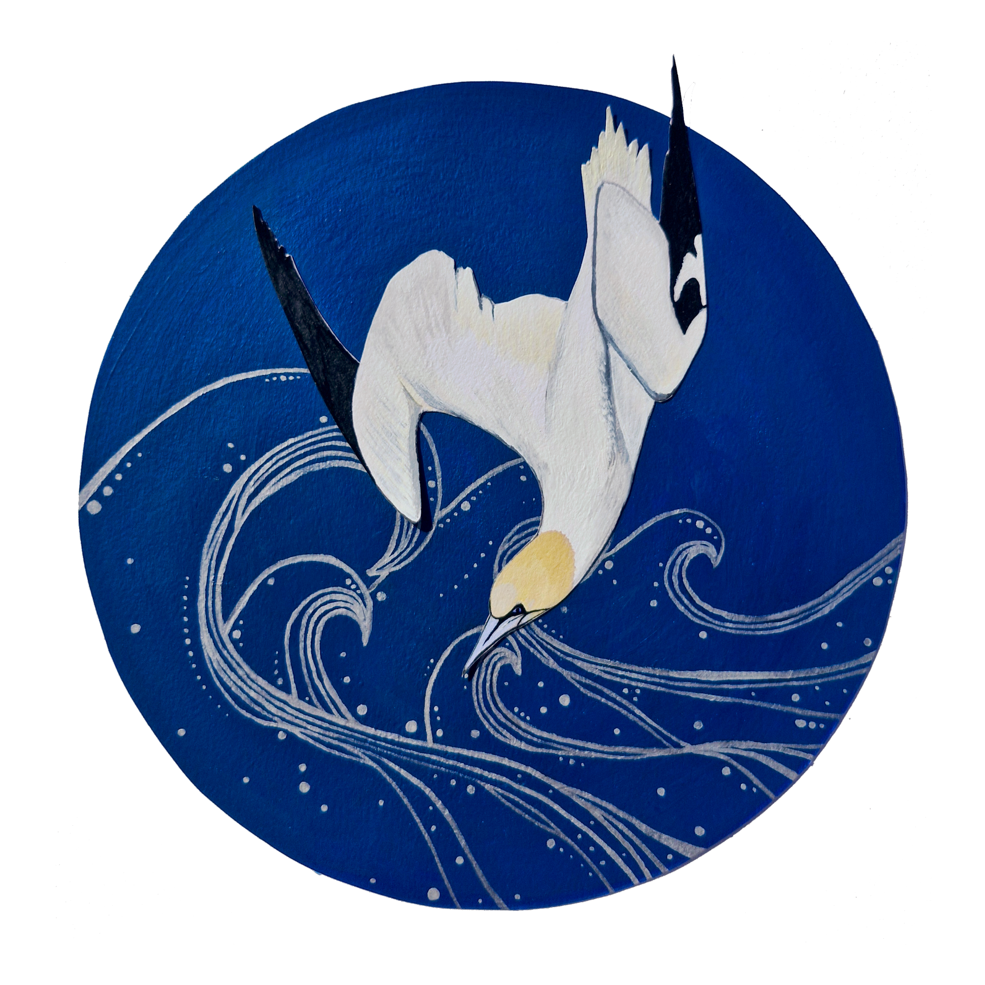 Diving gannet_20250424_134633_0000.png