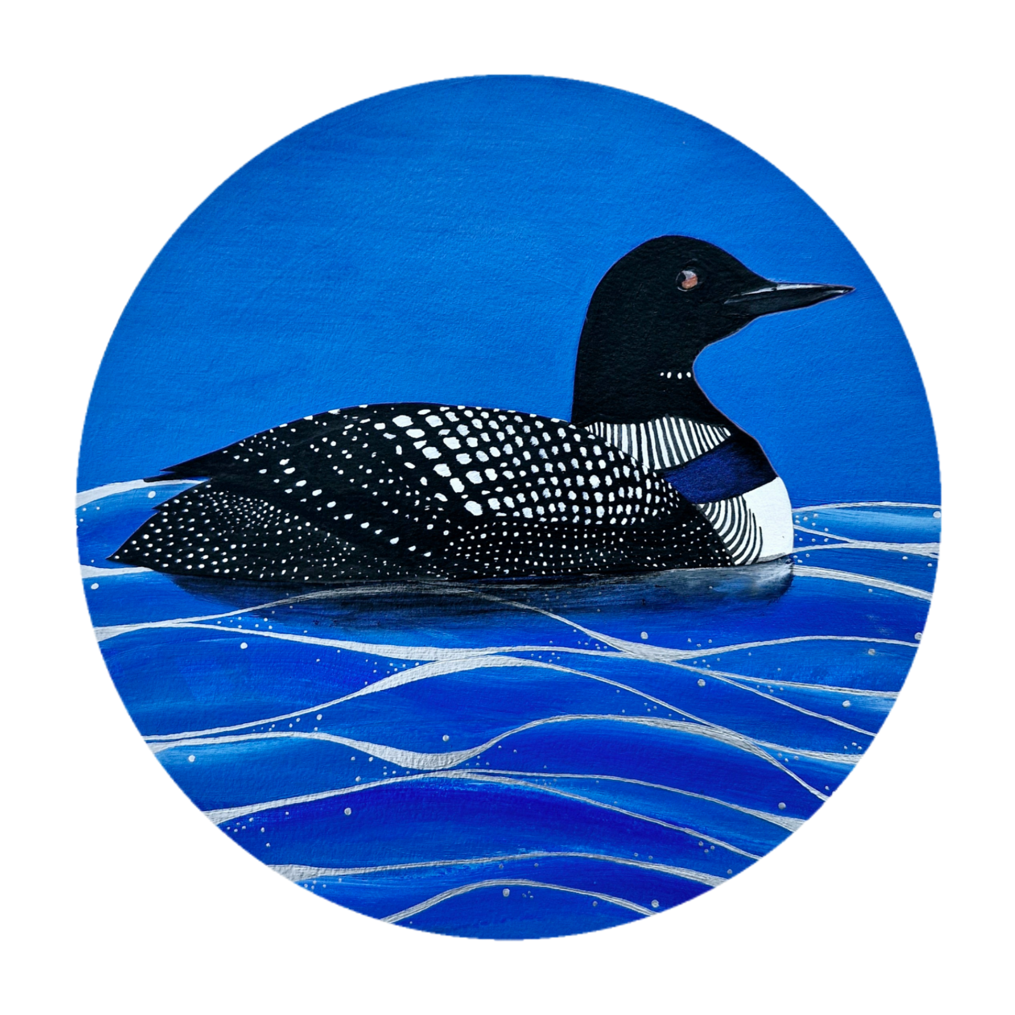 Great Northern Diver_20250608_152616_0000.png