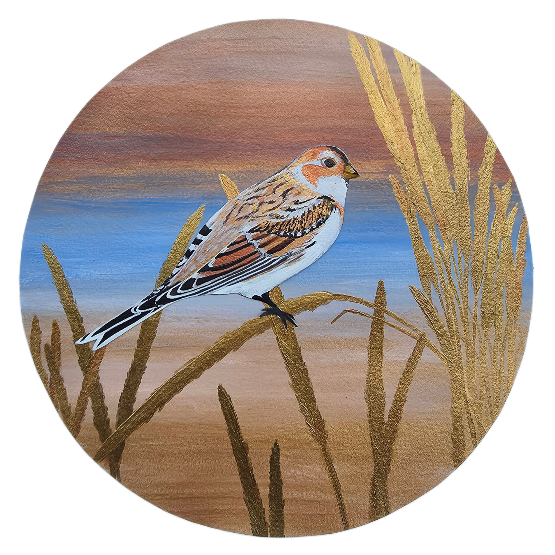 Snow Bunting png coaster.png