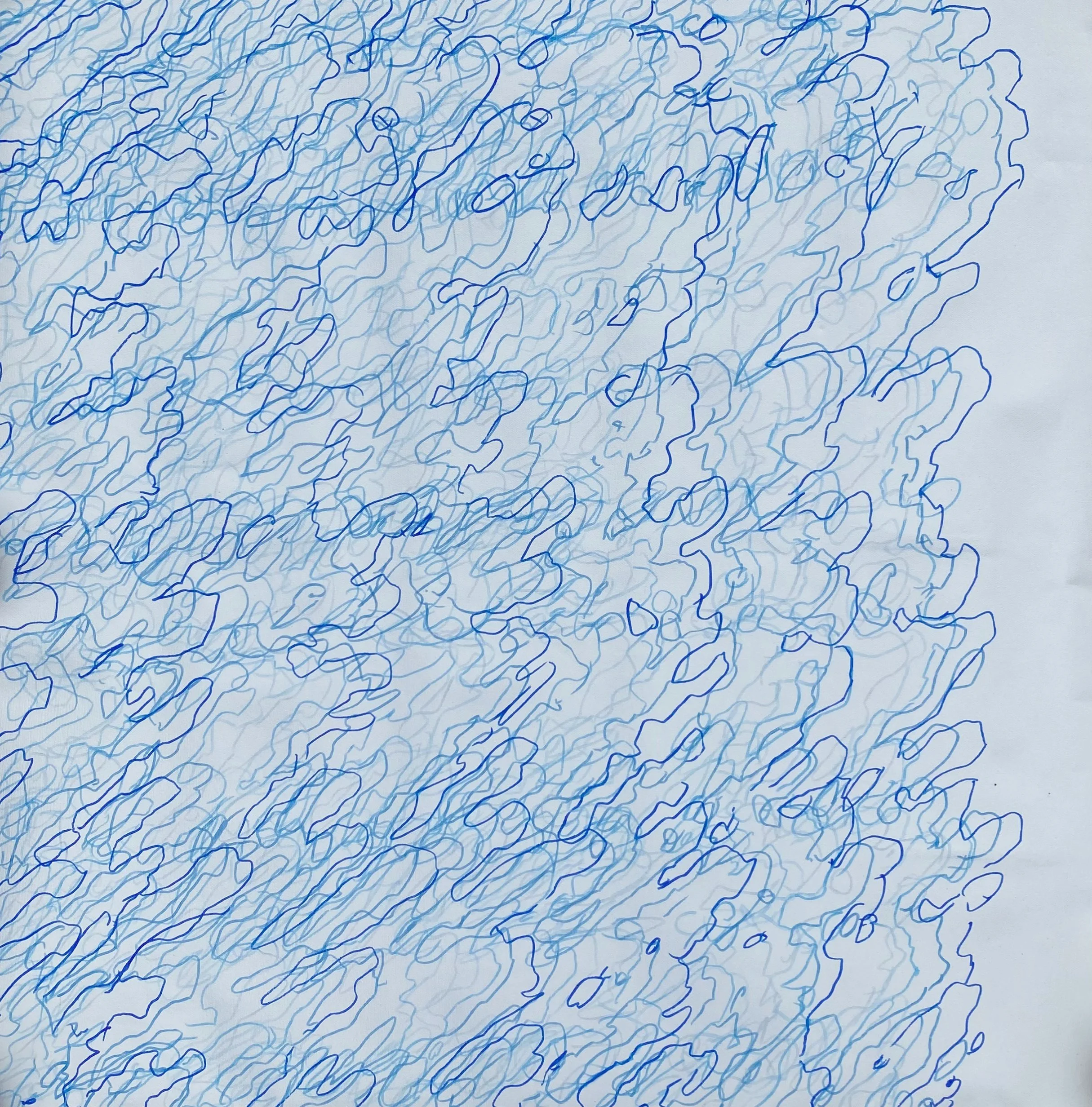 Shadow Drawings