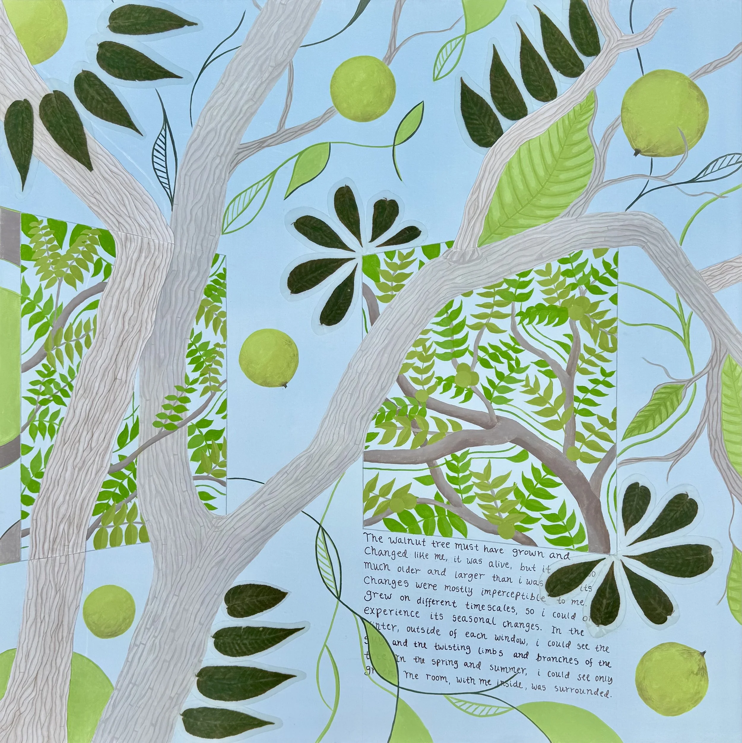The Walnut Tree