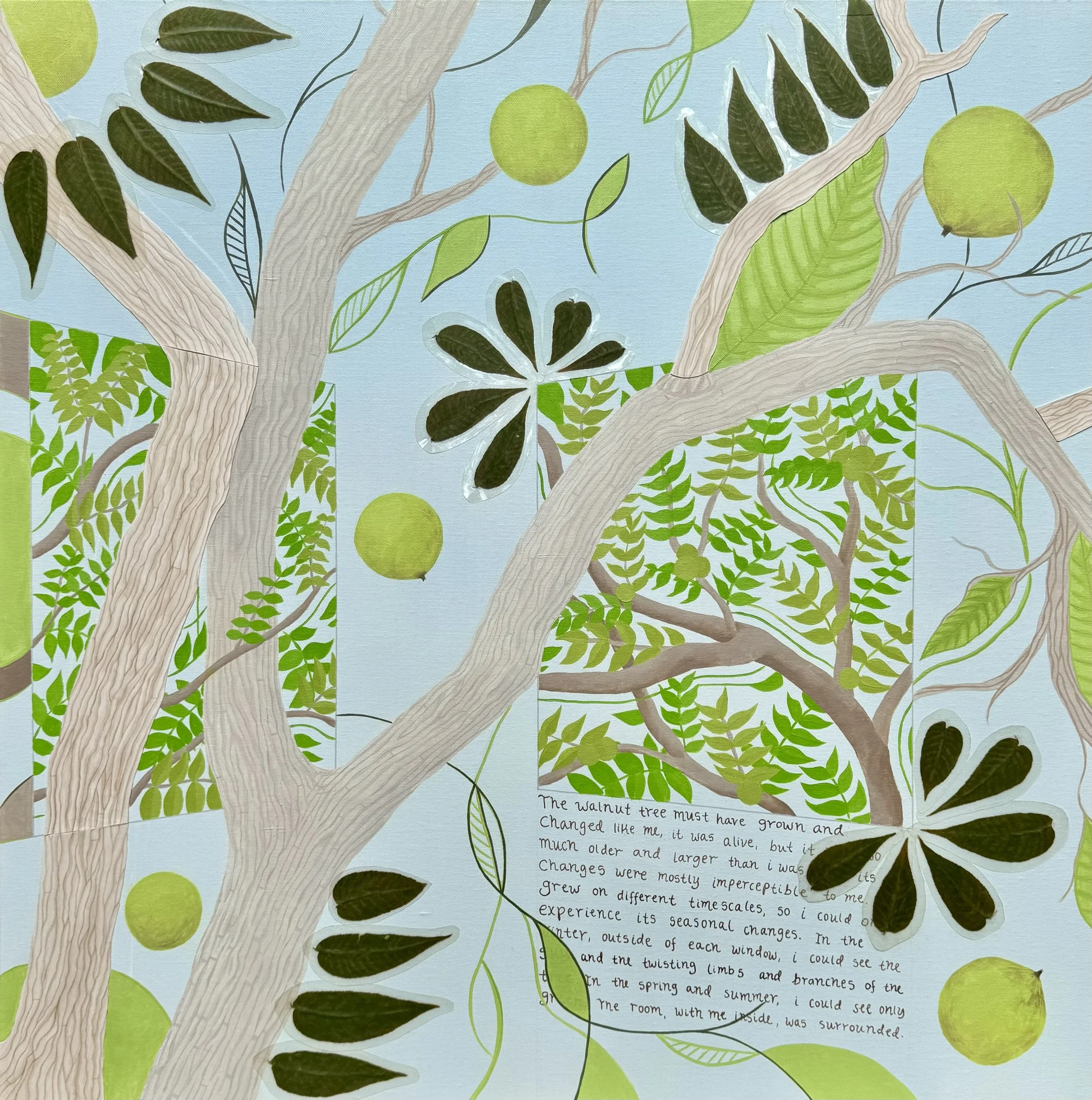 The Walnut Tree